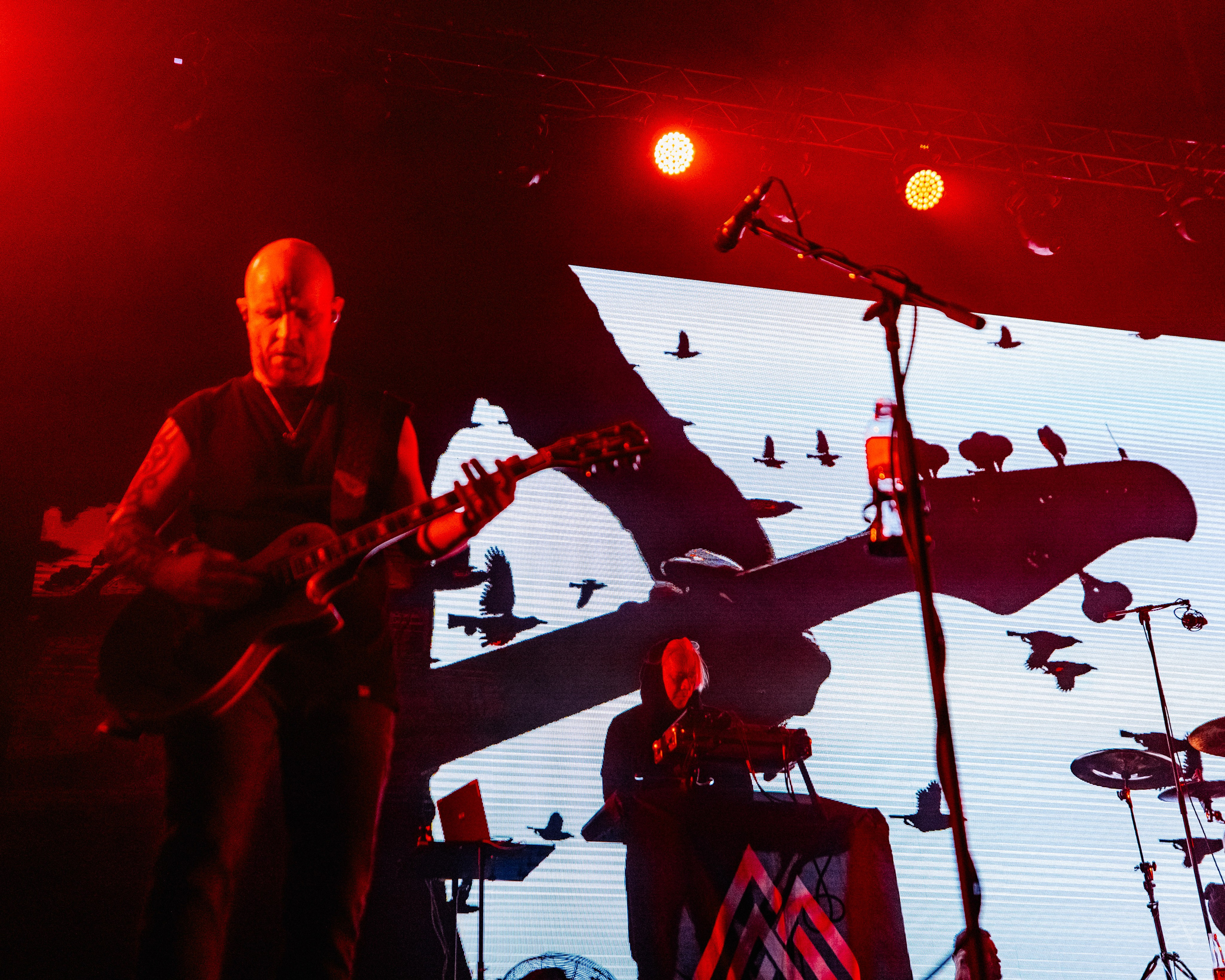 Северный Флот. Atmosphere. Концертный фотограф Аля Рашпиль