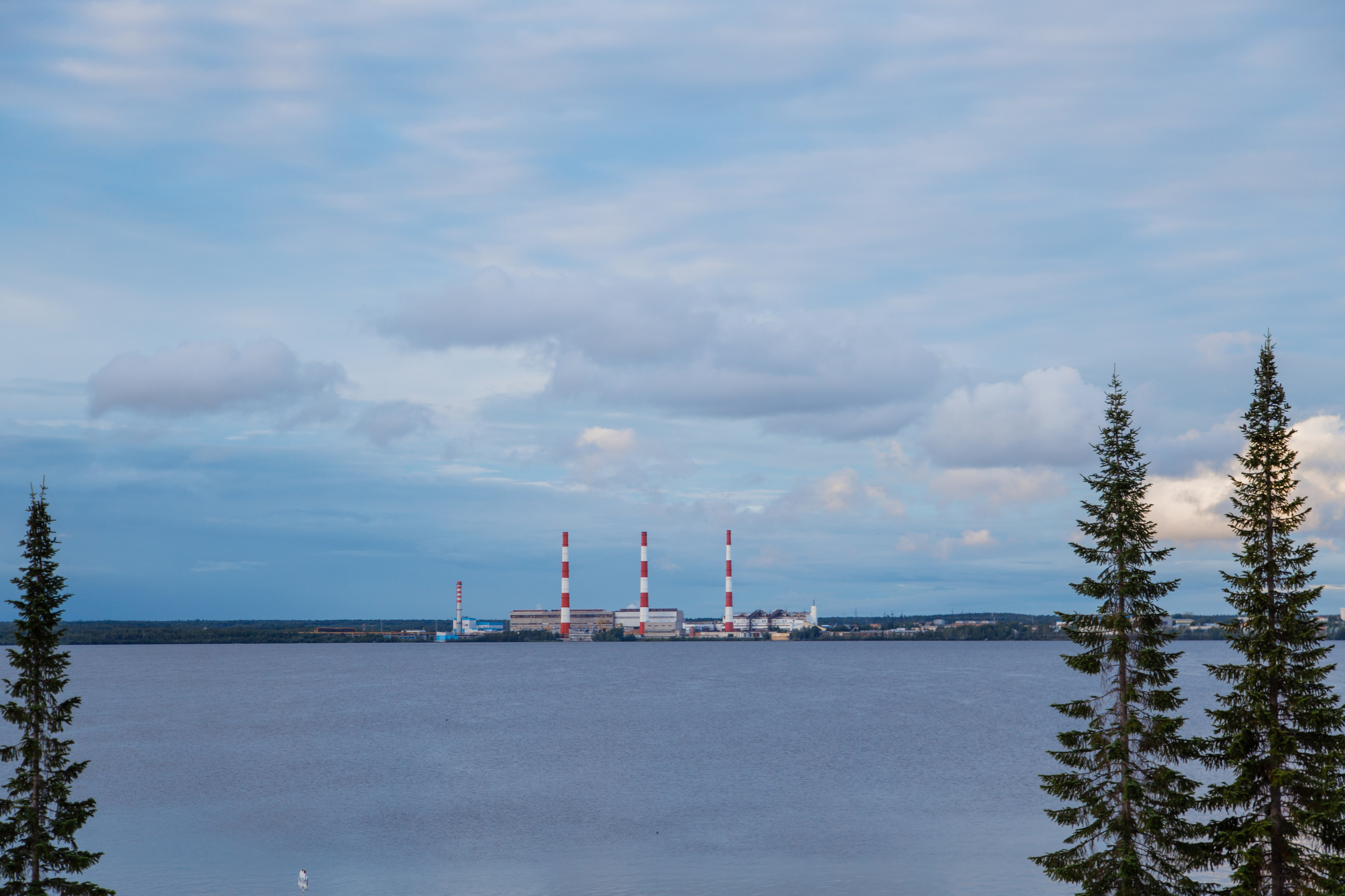 Выпускной школьников. Фотограф Екатеринбург Марина Поздеева
