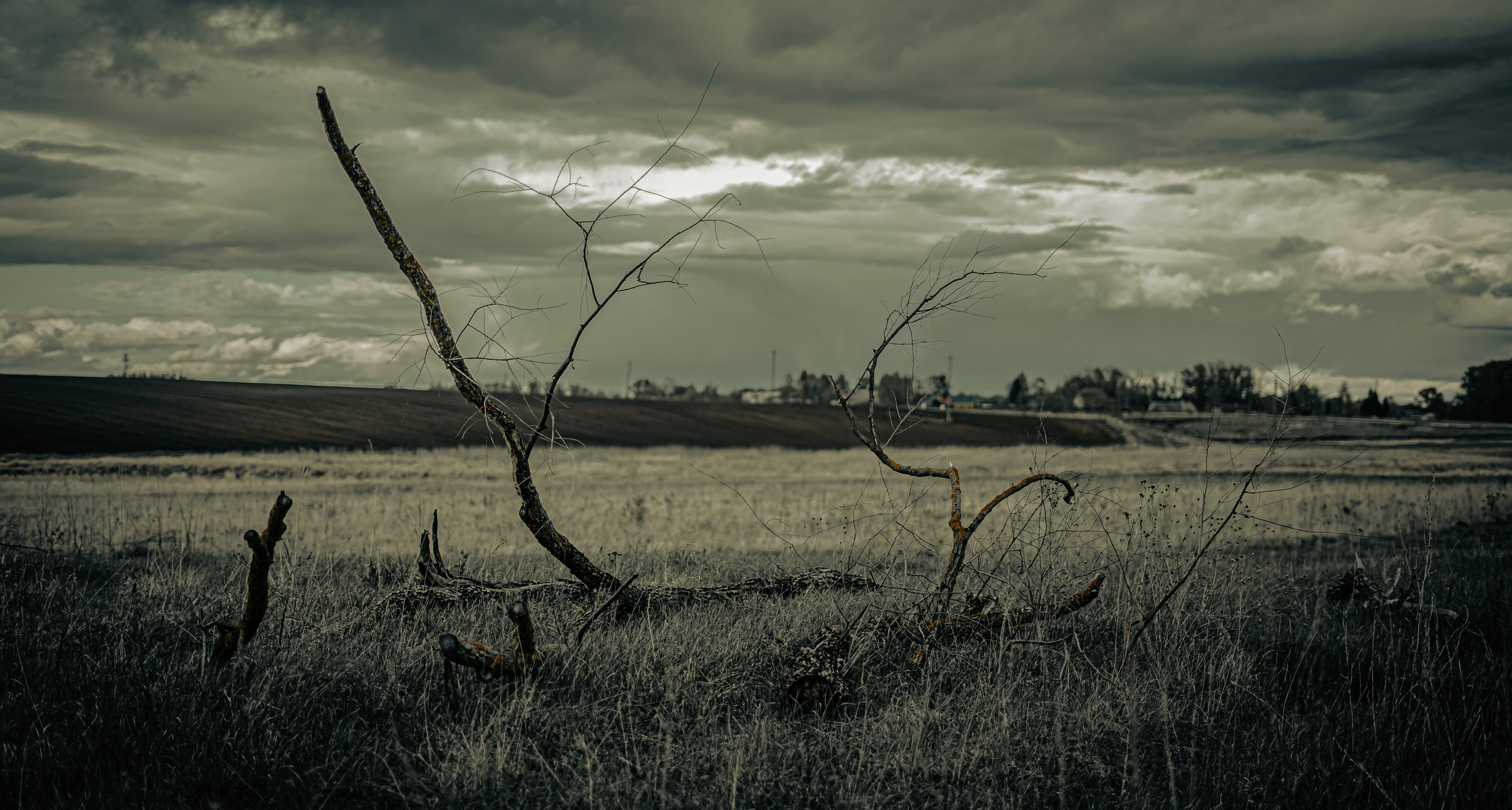 Пейзажи, архитектура, натюрморты. Видеопродакшен | Фотосъёмка | Filimonov & Kirsanova