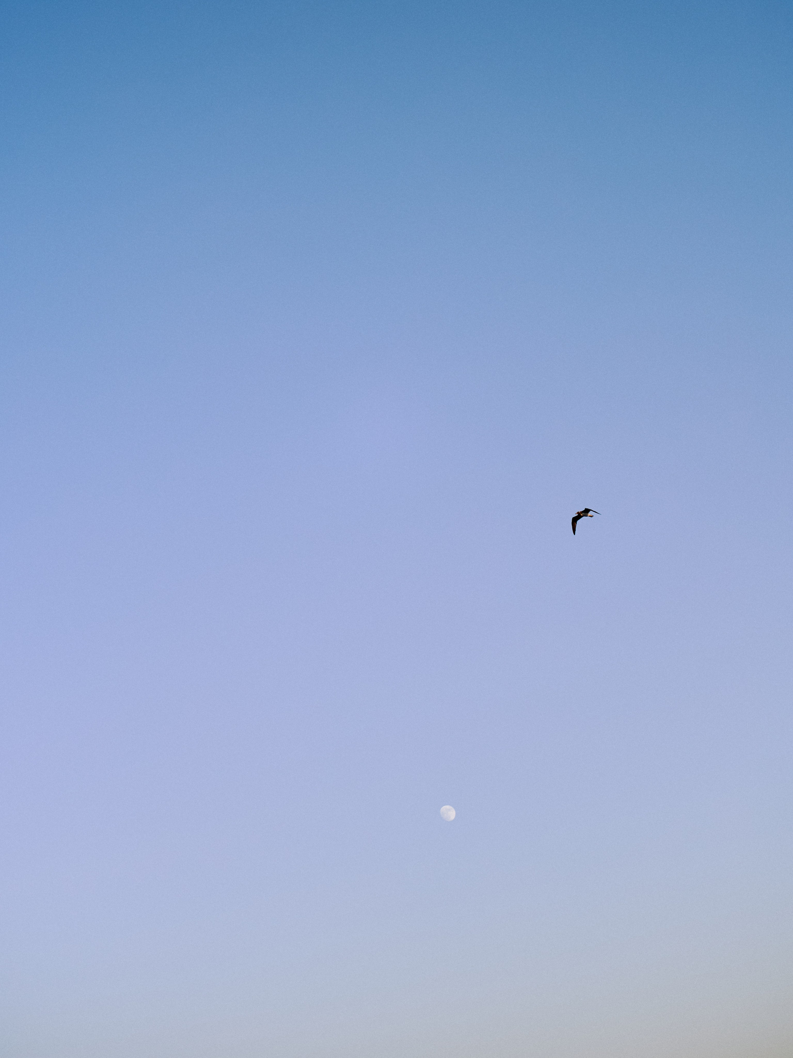 Другое 3. Jorgis Talè — photographer, kind person, teacher of arts and other mag