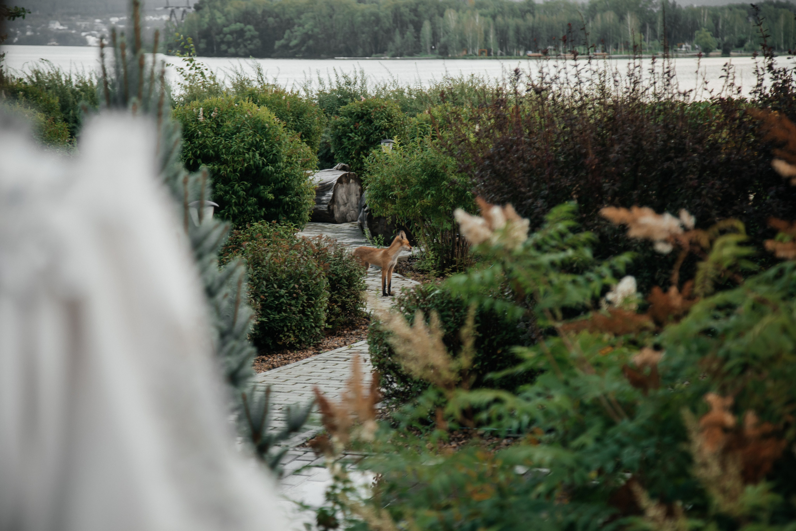 Олег и Ника. Свадебный и семейный фотограф Ибрагимова Мария из Екатеринбурга