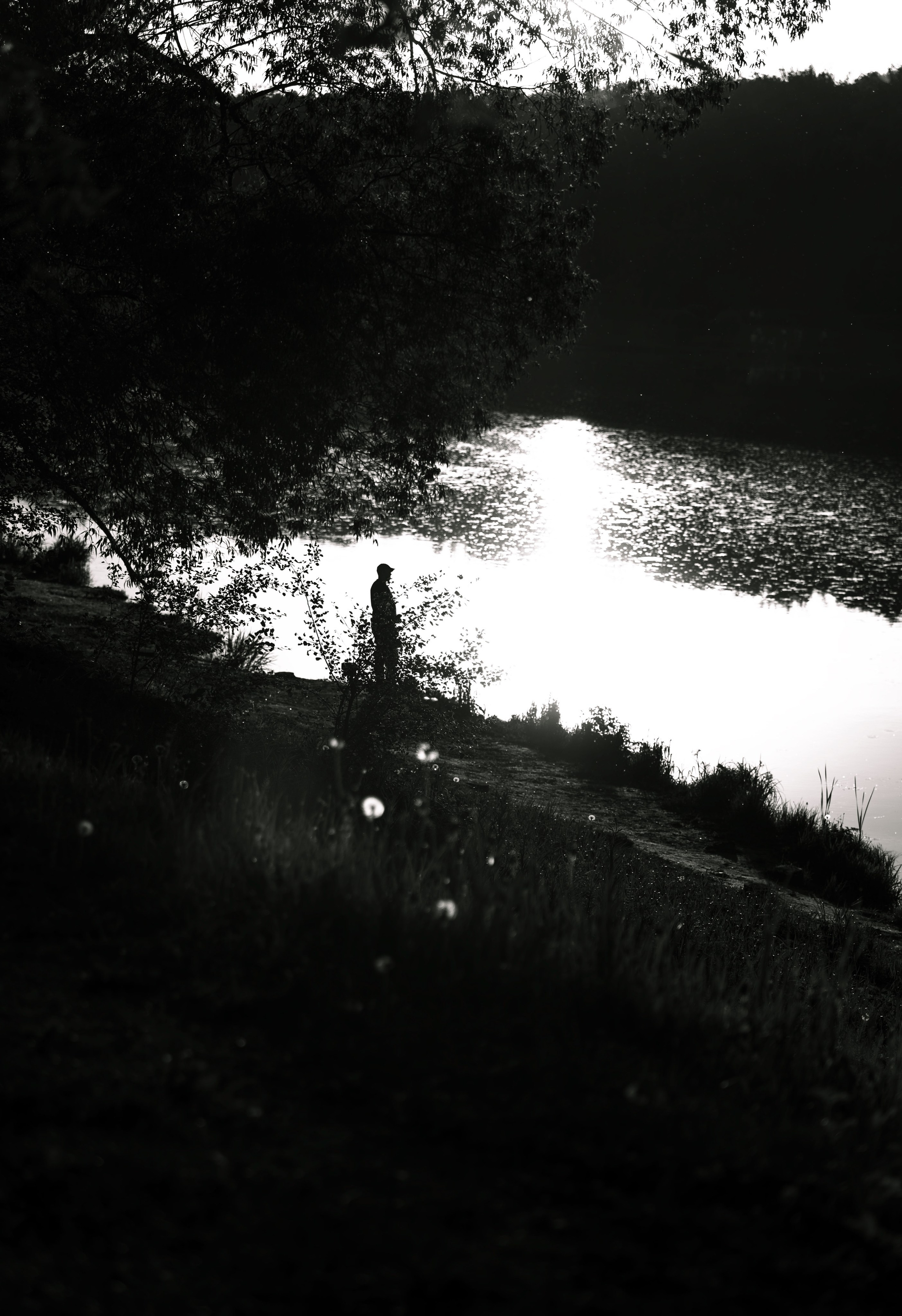 Ч/Б. Алексей Гаас — фотограф