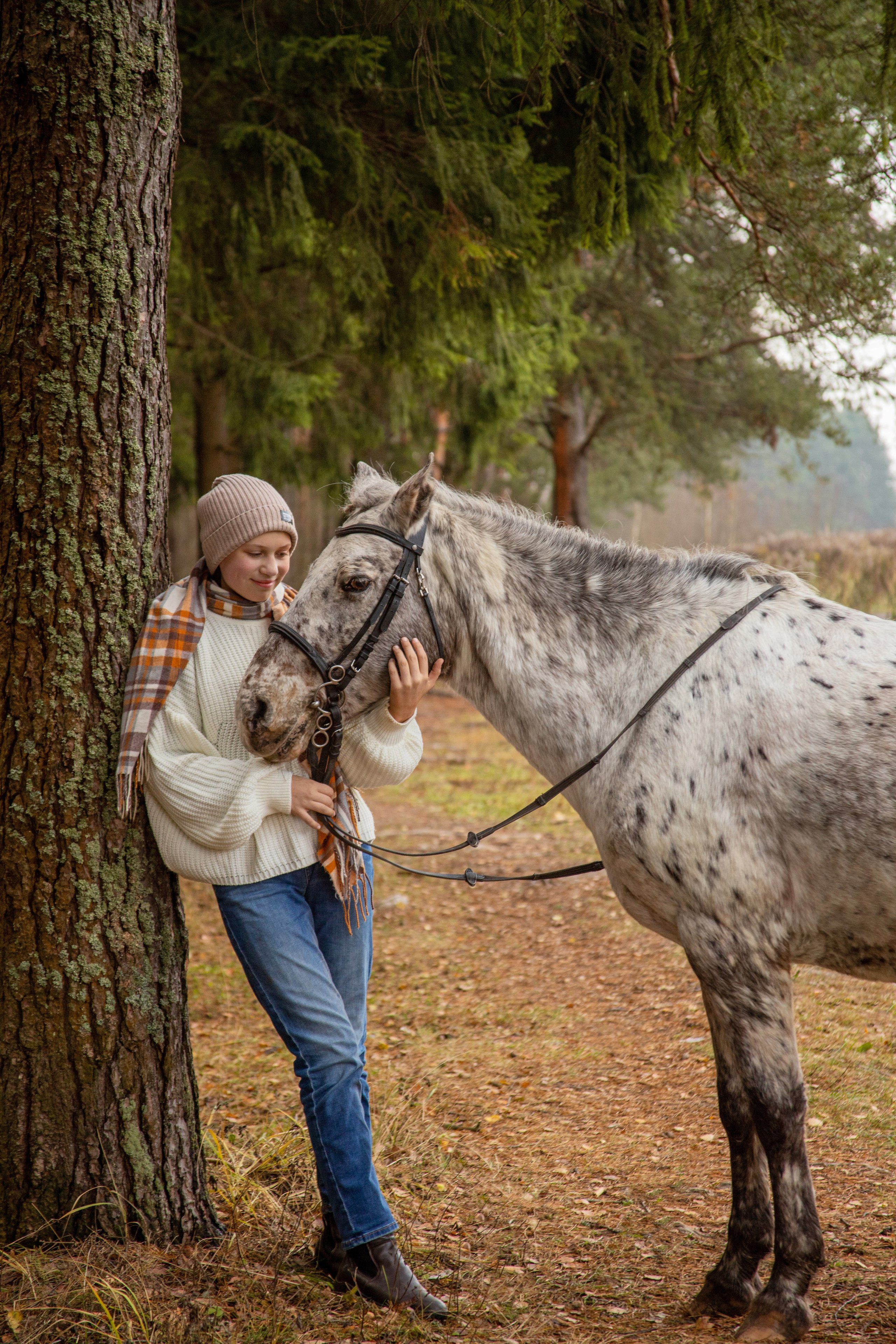 Фотосессии с лошадьми. Фотосессии с лошадьми в Москве и МО