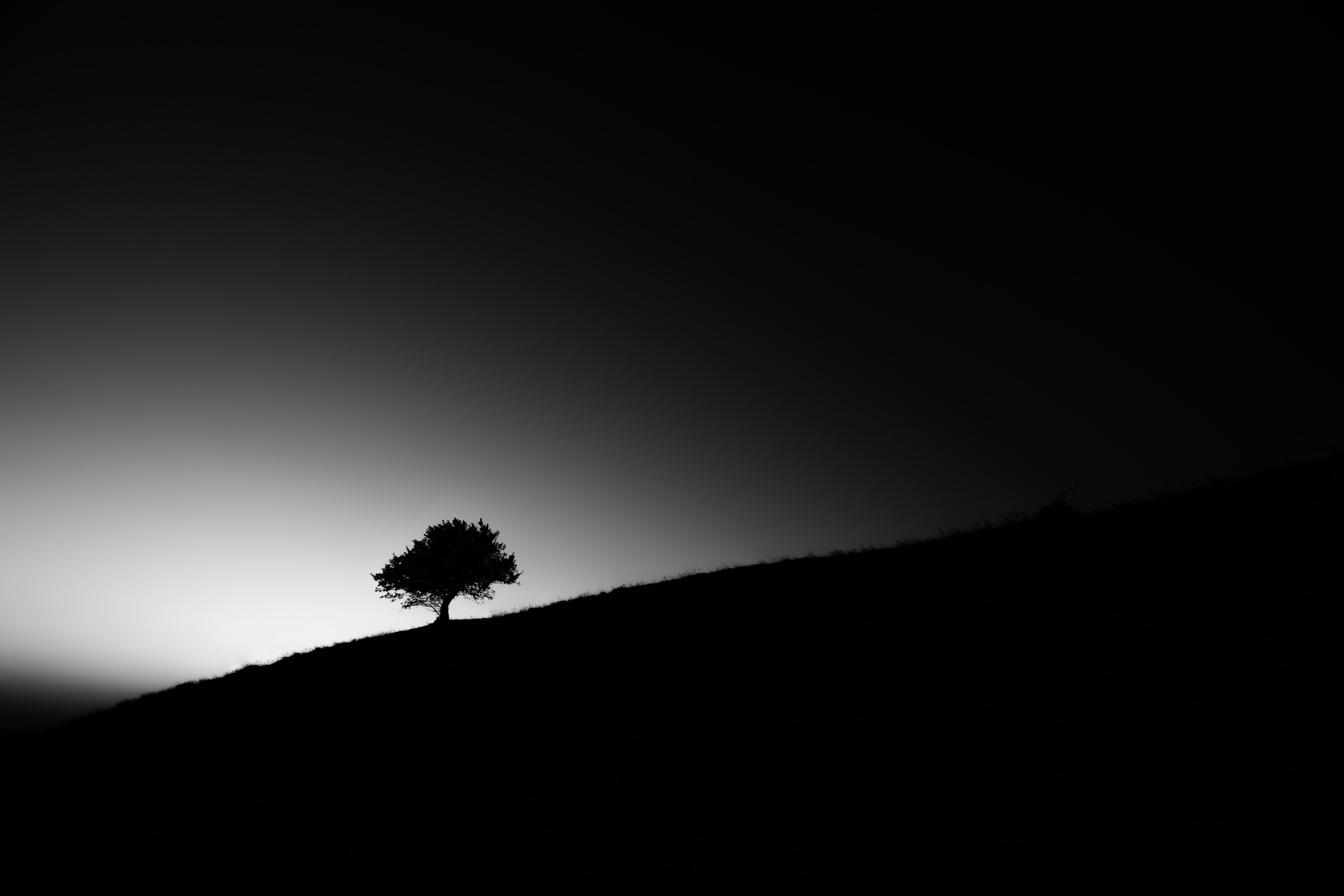 — посозерцать. Фотограф Кочкаев Роман