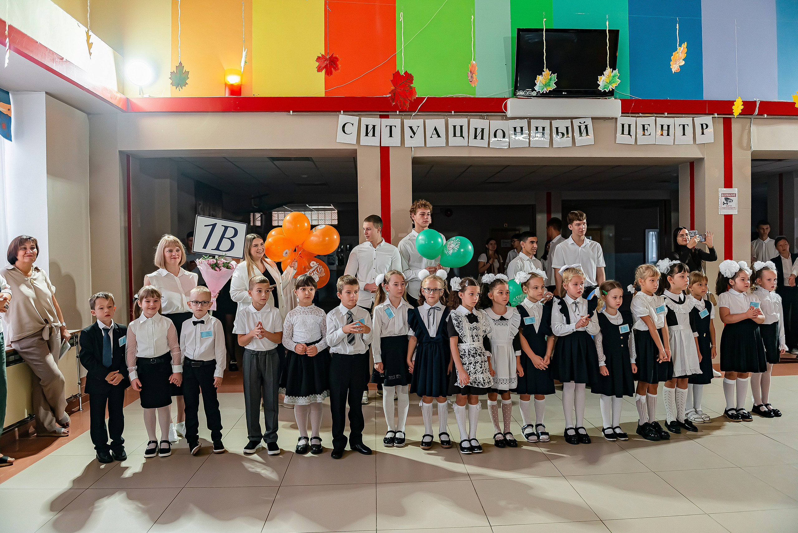 1 «В» | Гимназия № 3| г. Белгород |2024. ALBUMIA