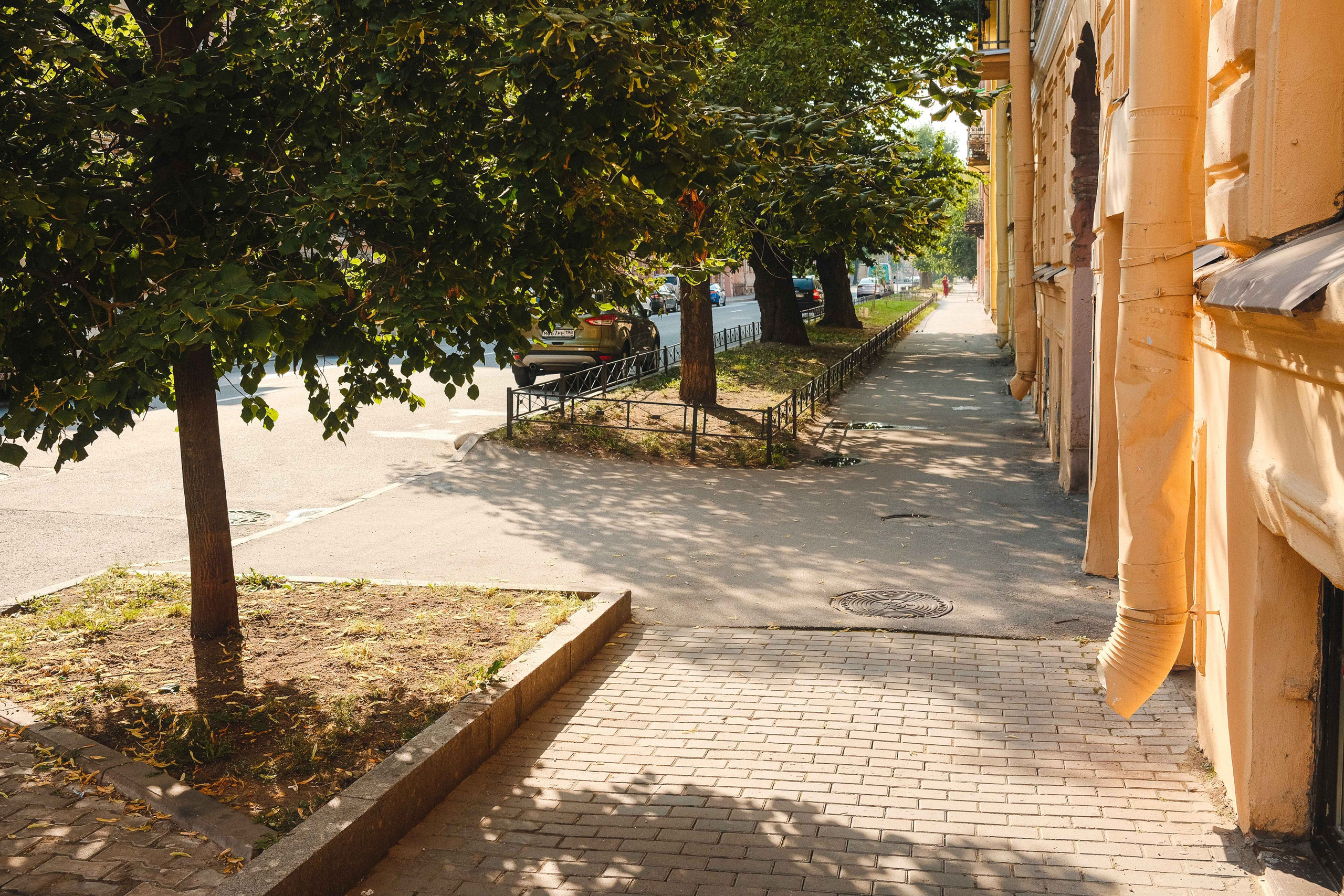 2022.08. Фотограф Алексей Алексеев