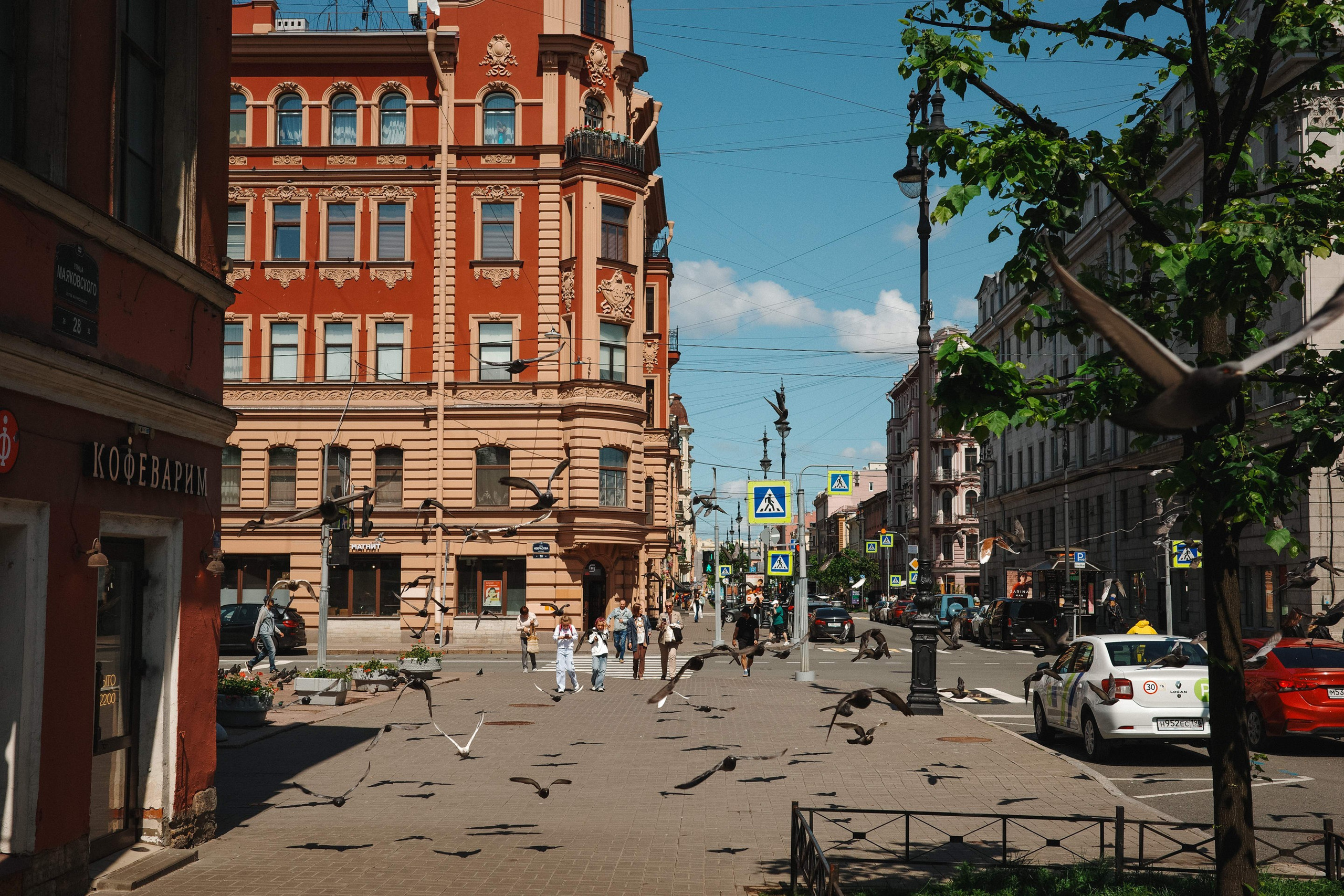 2025.06. Фотограф Алексей Алексеев