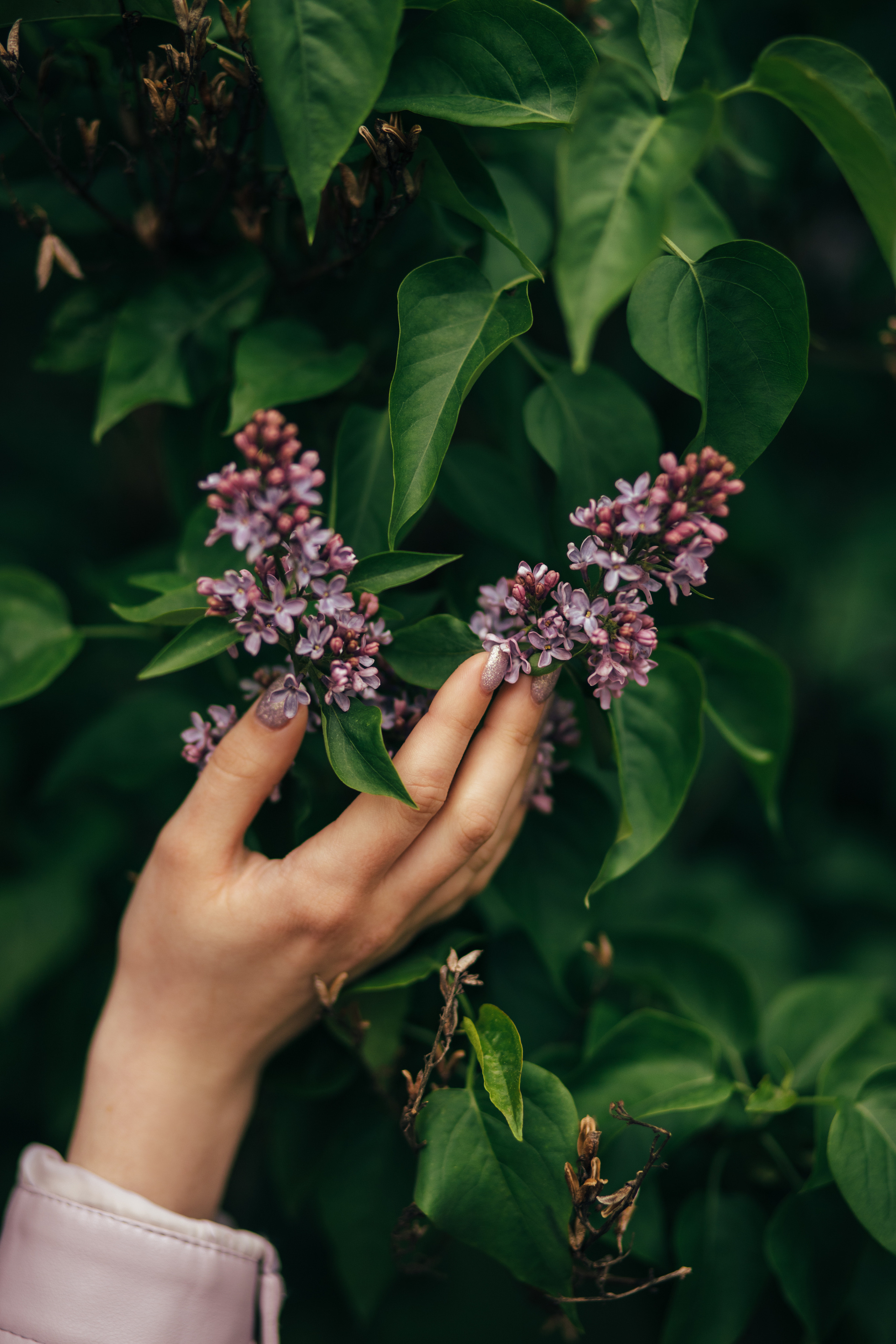 NASTYA. Фотограф в Санкт-Петербурге Екатерина Микитюк