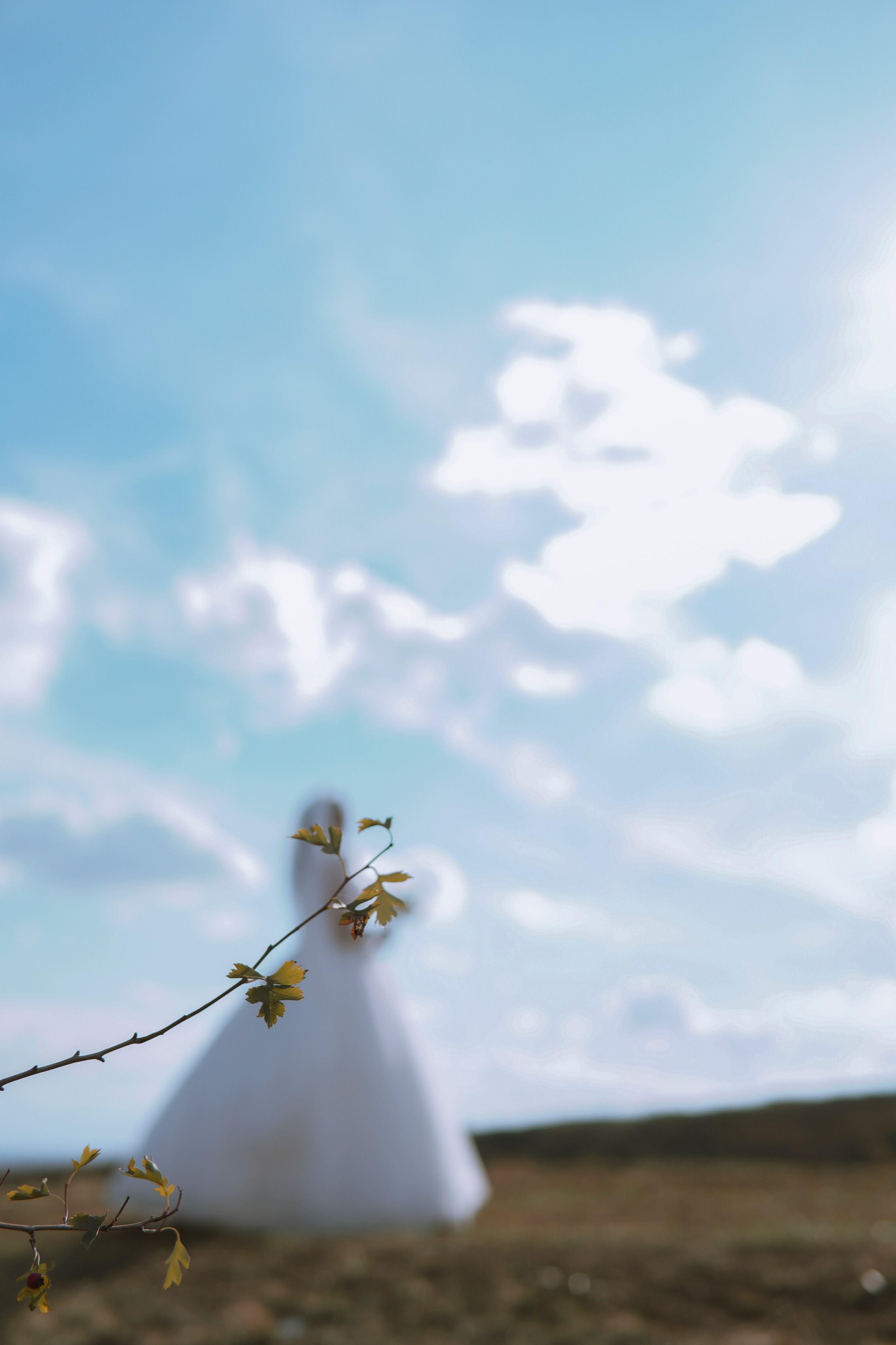 Владислав и Ангелина. Свадебный фотограф в Новочеркасске. Фотограф в Ростове-на-Дону Марина Мальцева