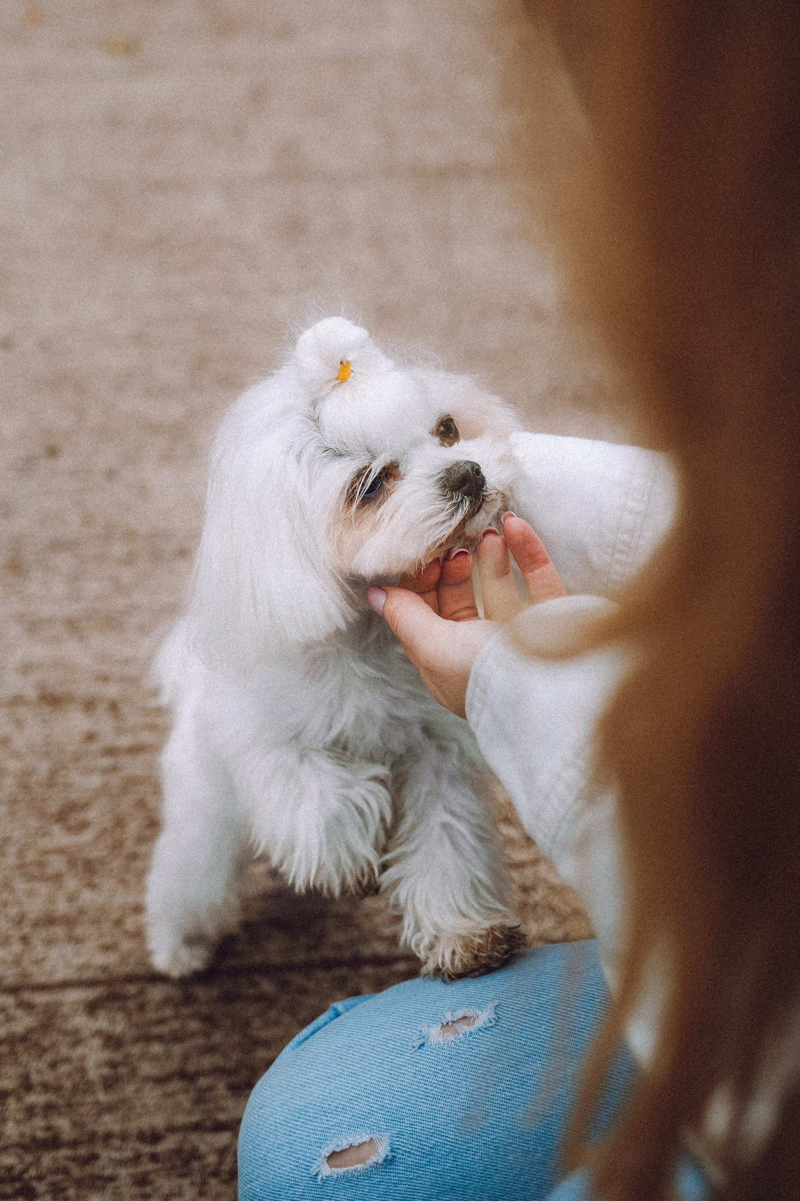 Настя и Гоша
