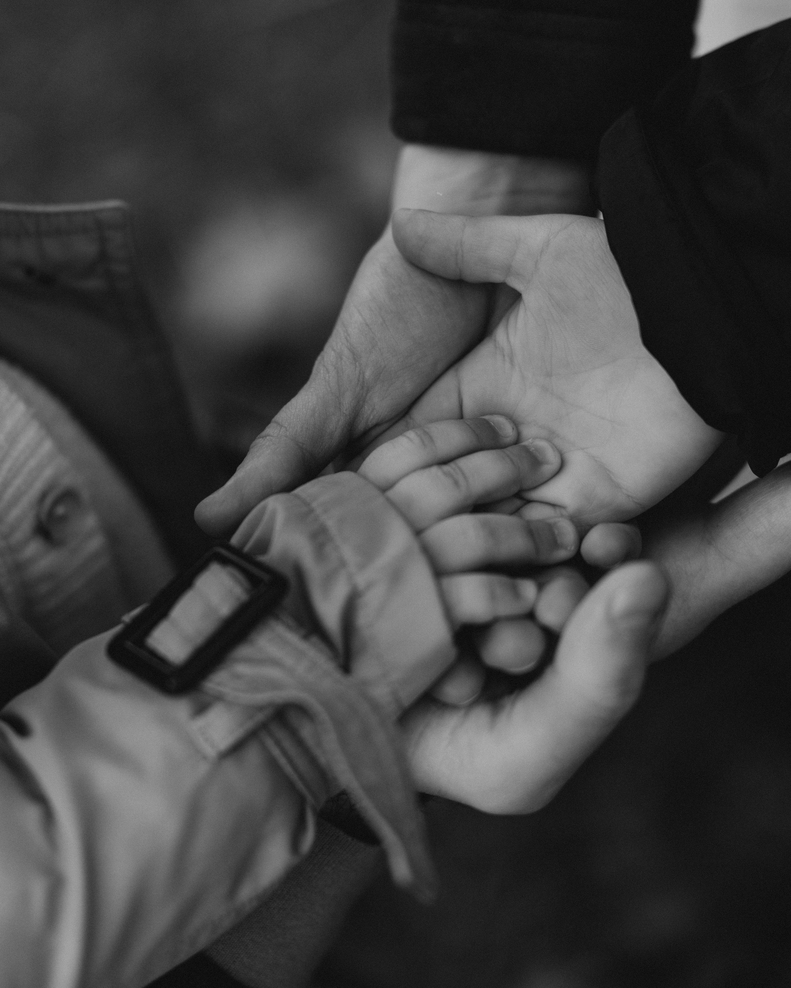 Осень в Царицыно. Фотограф в Москве Ольга Елоева