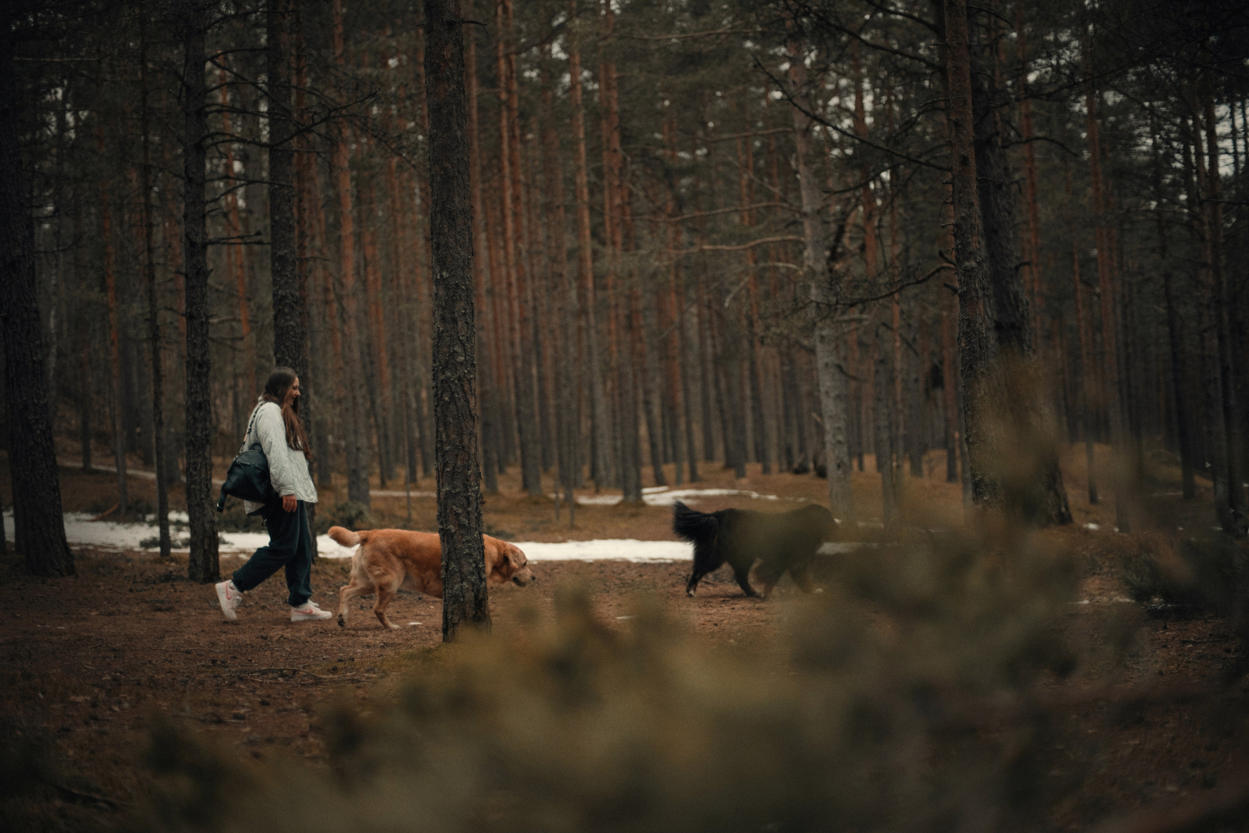 Прогулка: берн Пума, Фрэнк и Юля в Питере. Портфолио