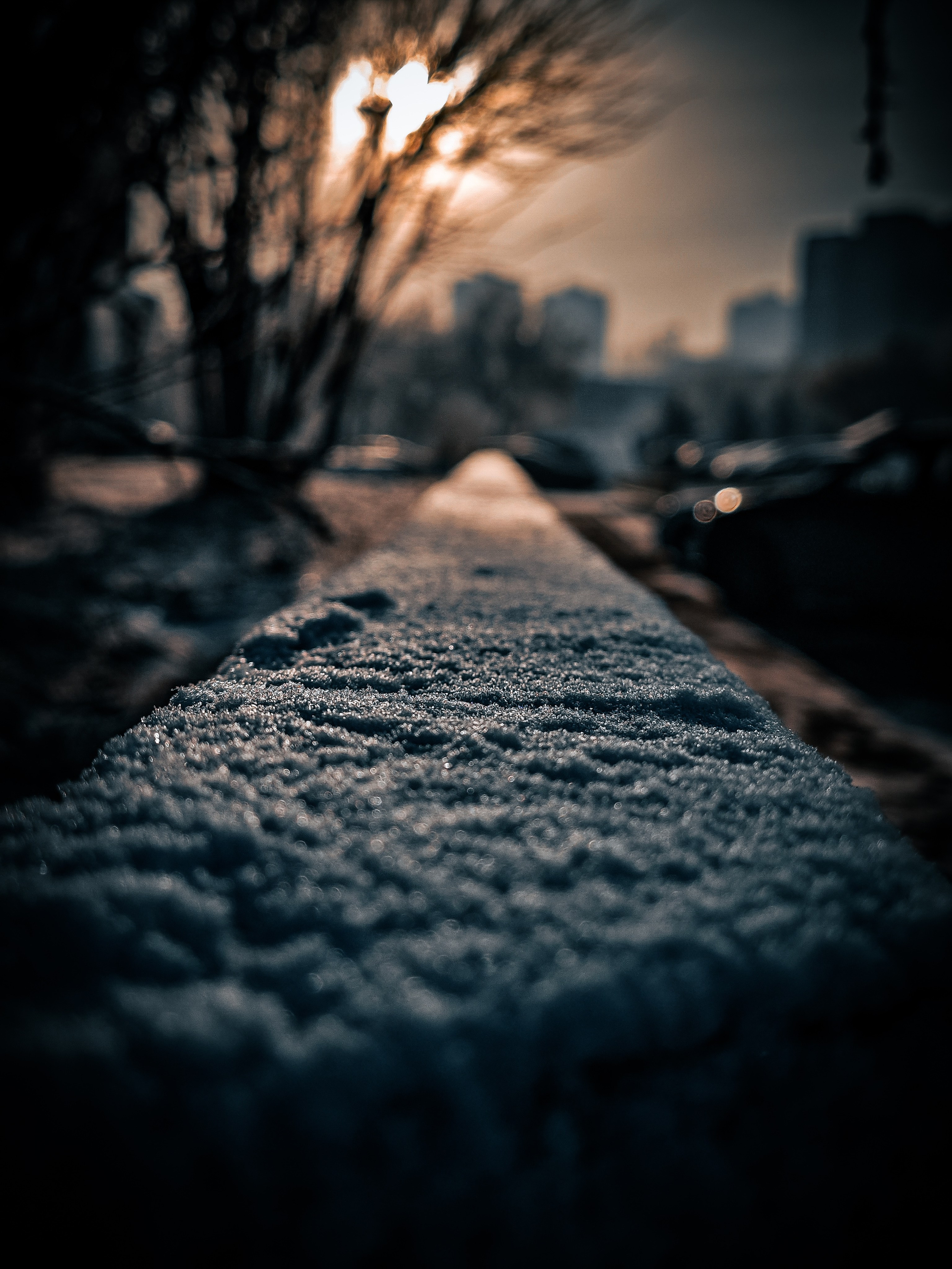 Скоро лето. Игорь Урывский. Фотограф Красноярск