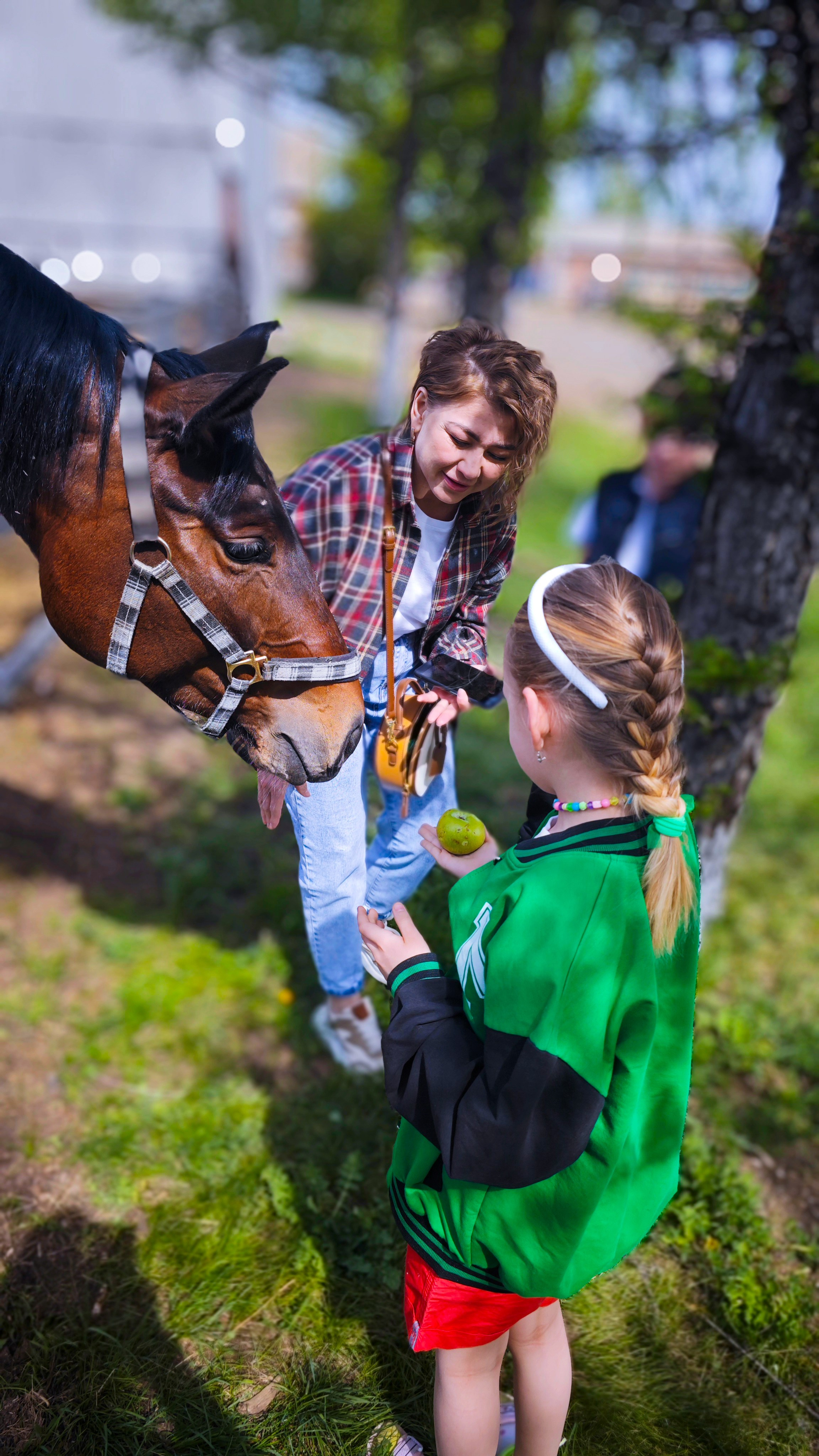 Красноярский ипподром. Открытие сезона 2025. Игорь Урывский. Фотограф Красноярск