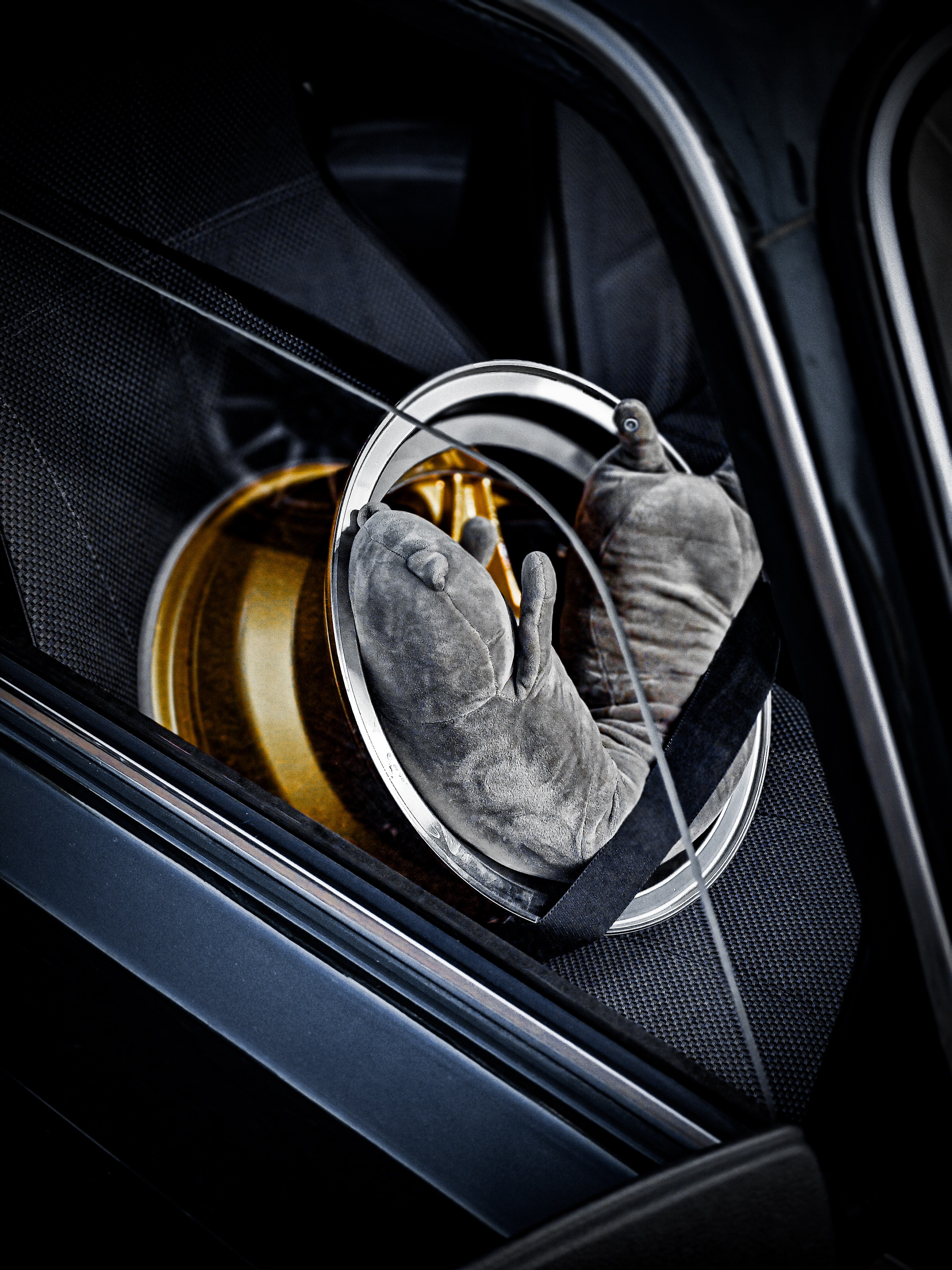 Красное кольцо. Открытие сезона 2025. Игорь Урывский. Фотограф Красноярск