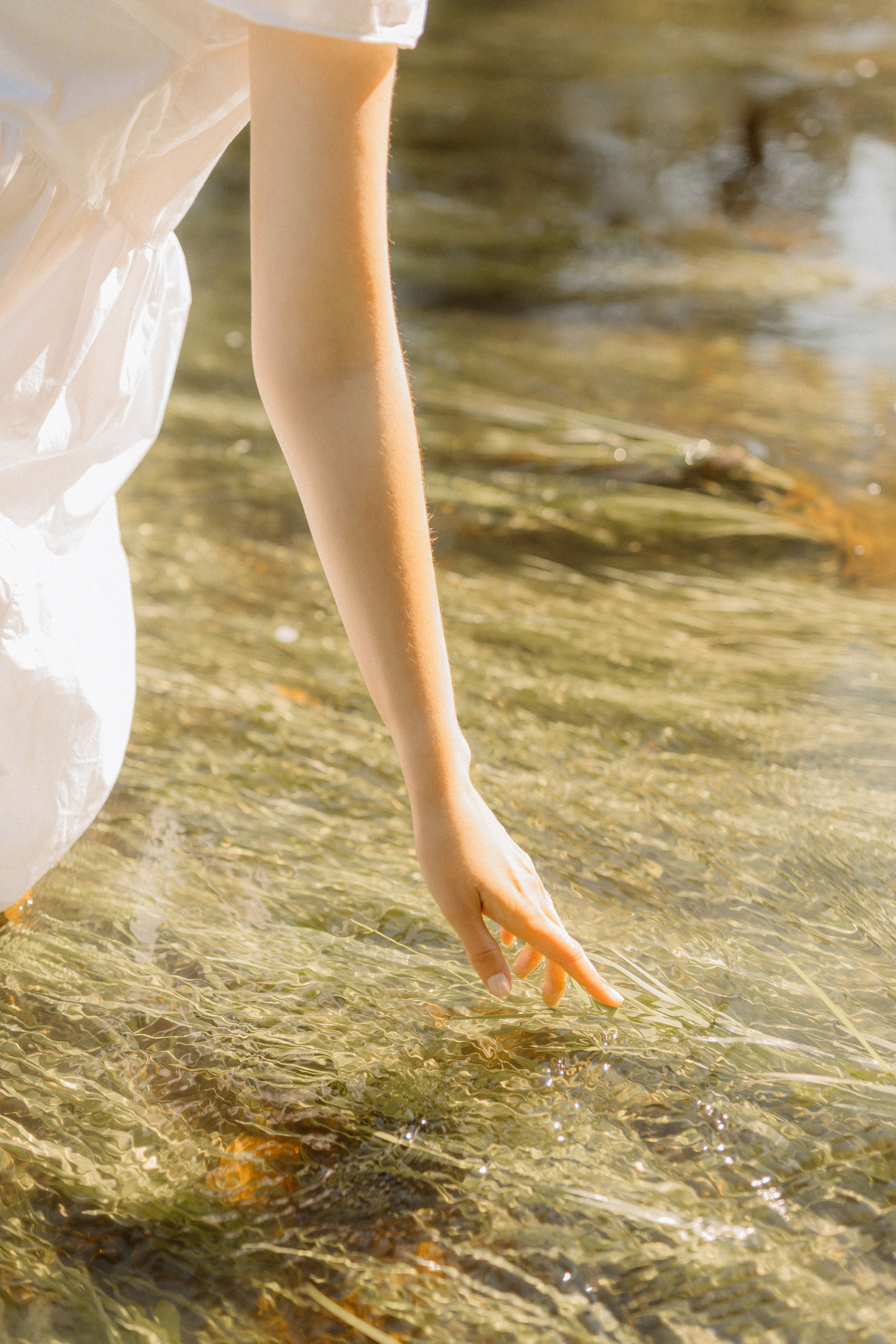 Нежность утреннего солнца. Главная