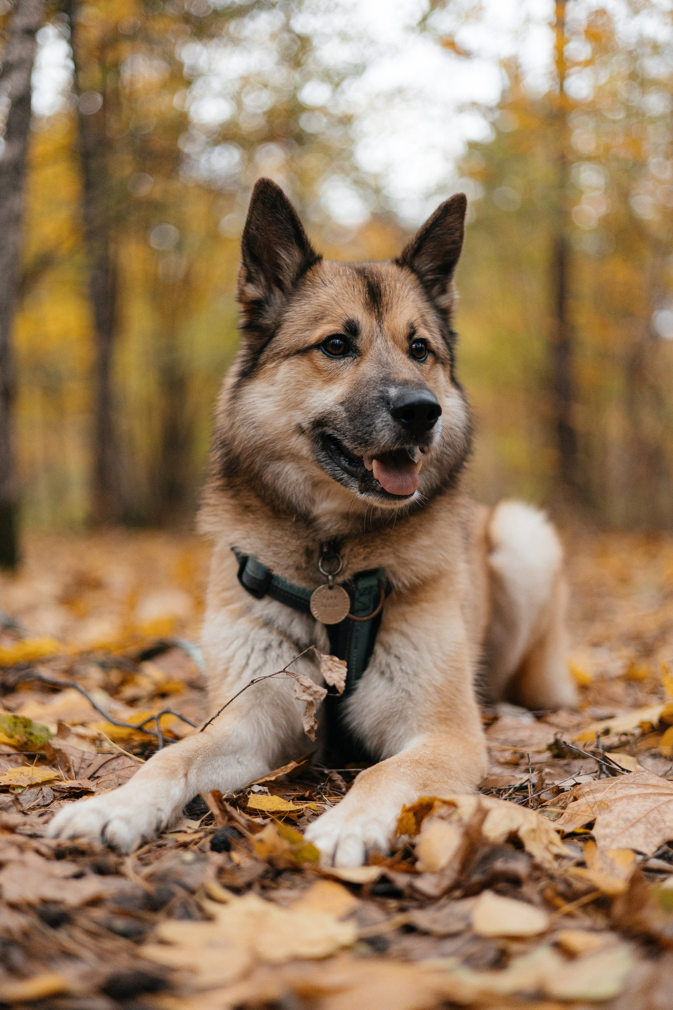 Нелли, Лёша, Рэй и Норд. Фотограф Анна Луценко Москва