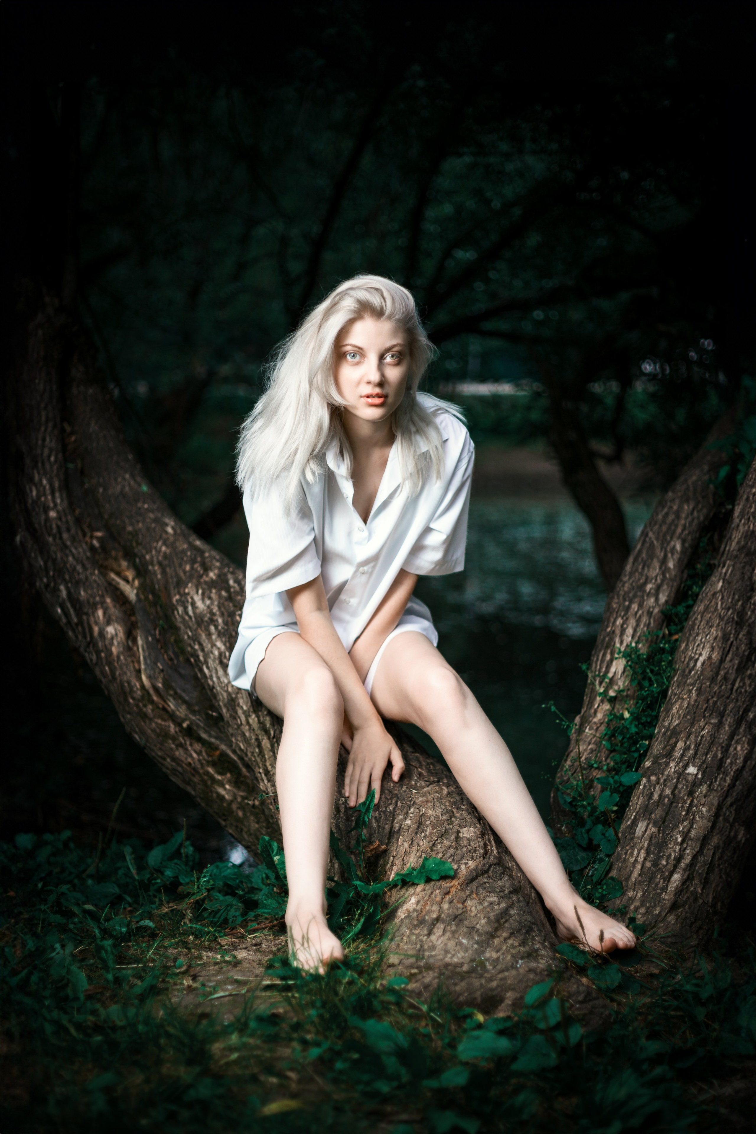 Откройте для себя магию "Белоснежной гармонии" в этом фотоальбоме, где девушка с белоснежными волосами предстаёт в утончённых образах на природе. Наслаждайтесь кадрами, где она лежит на дереве у озера и на траве, с элегантной рубашкой, добавляющей загадочности и эстетики. Девушка, молодая девушка, Блондинка, Фотосеесия, Подросток, Крашенные волосы, Озеро, Рубашка, Позировка, Потрет, Полуголая, Полуголая девушка, Девушка в белье, Дерево, Озеро, Красотка, Ноги, Трава, Ню,