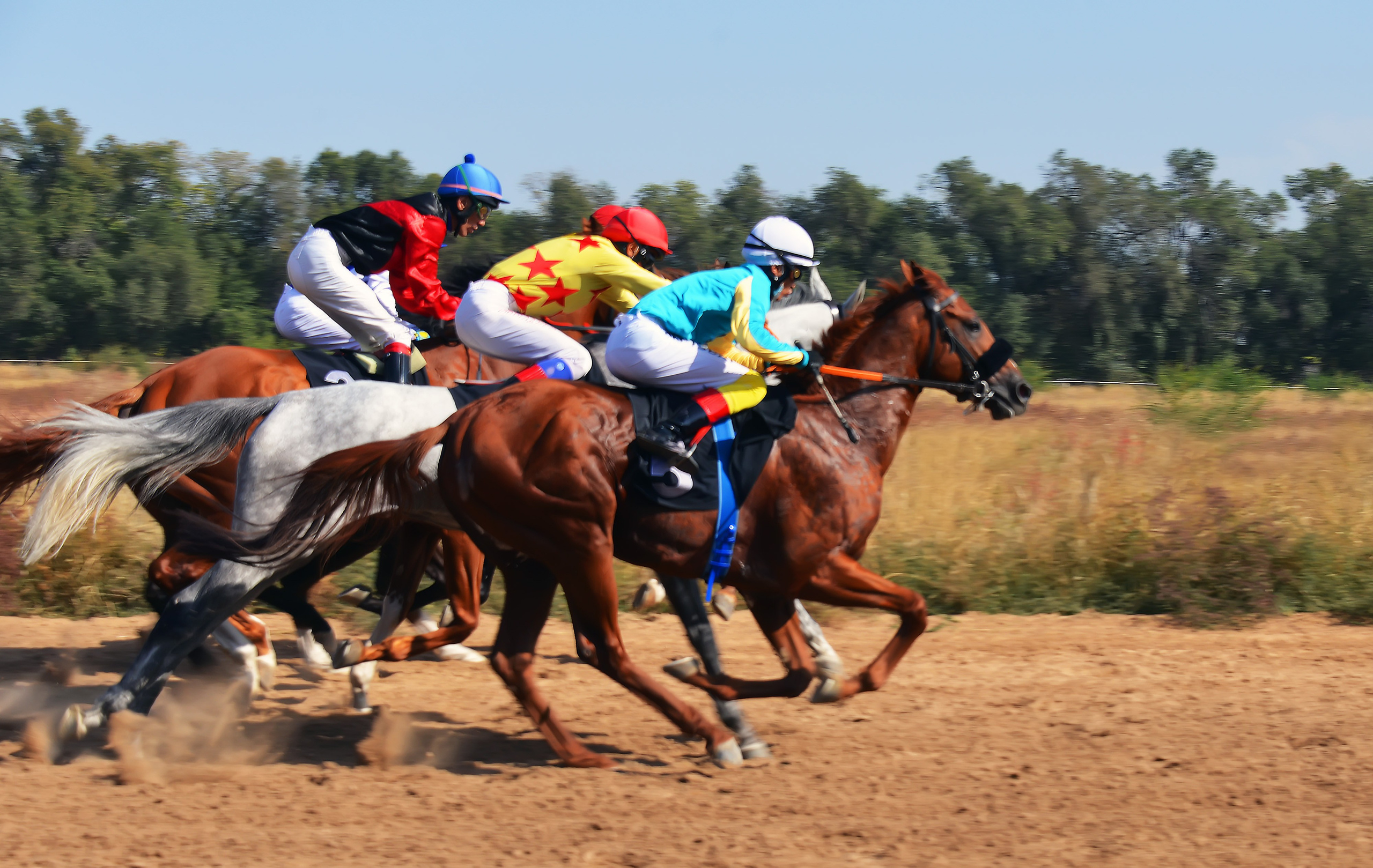 Скачки. Фотосъёмка. Фотограф Сергей Авдеев-семейный и детский фотограф в Алматы