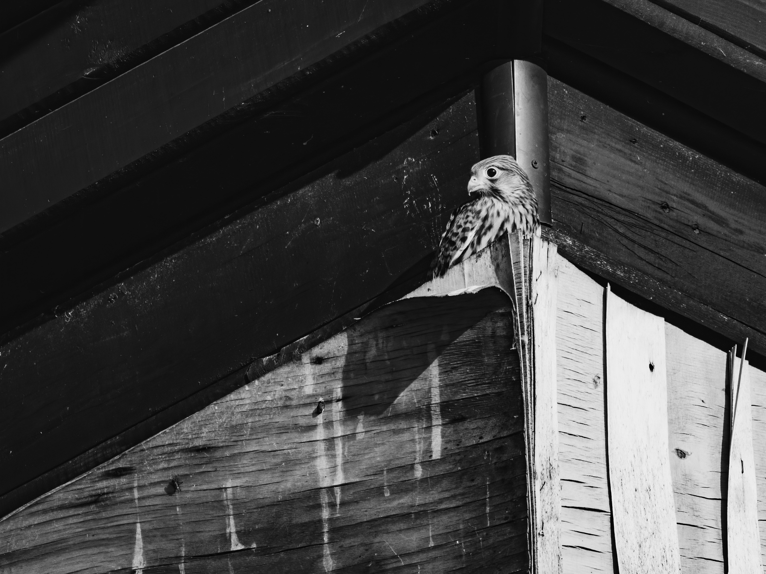 Портретный и семейный фотограф в Москве Андрей Спрогис