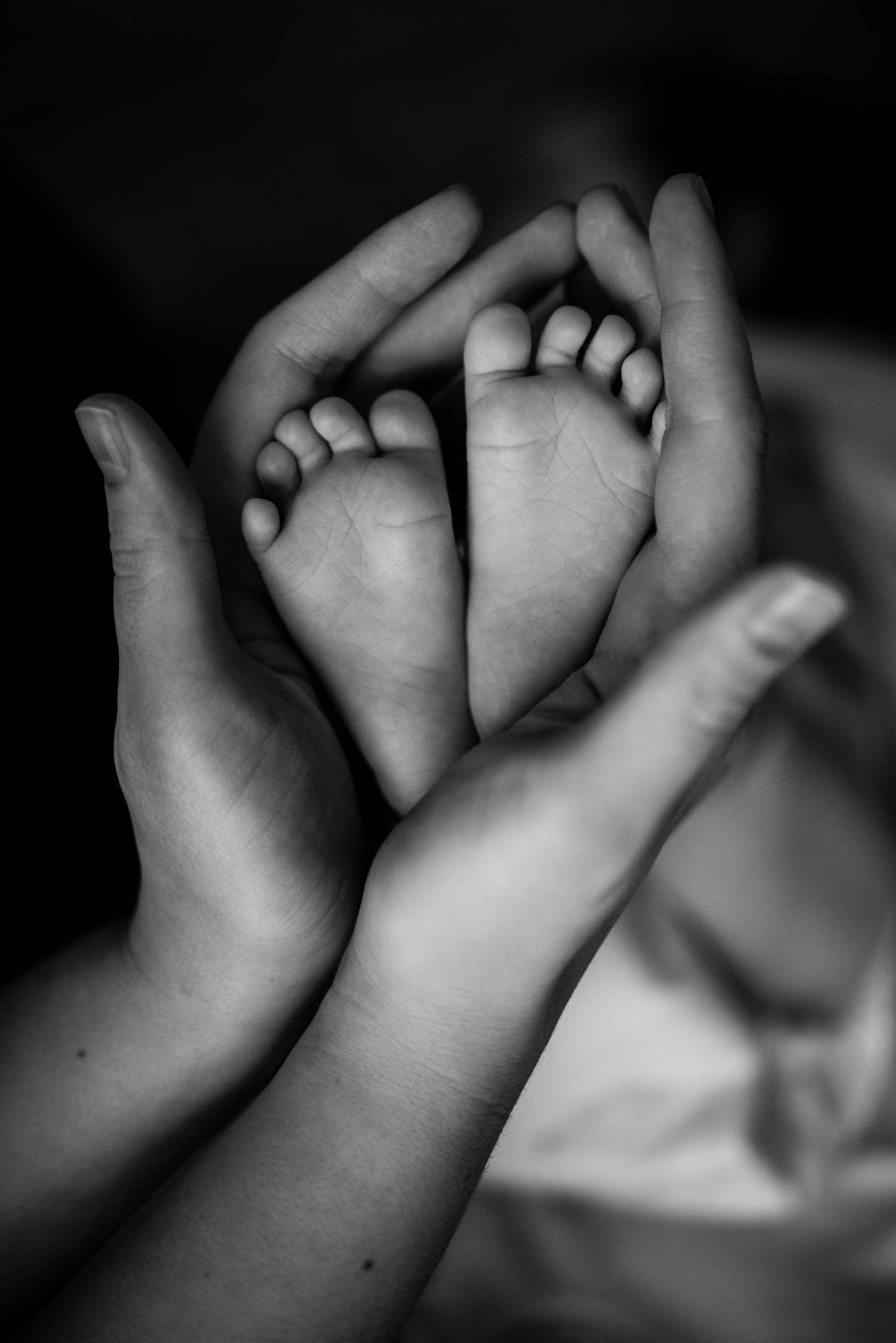 Фотограф Андрей Спрогис, съемка портретов, семейная фотосъемка, фотосъемка детей и мероприятий, съемка домашних питомцев. https://asprogis.ru