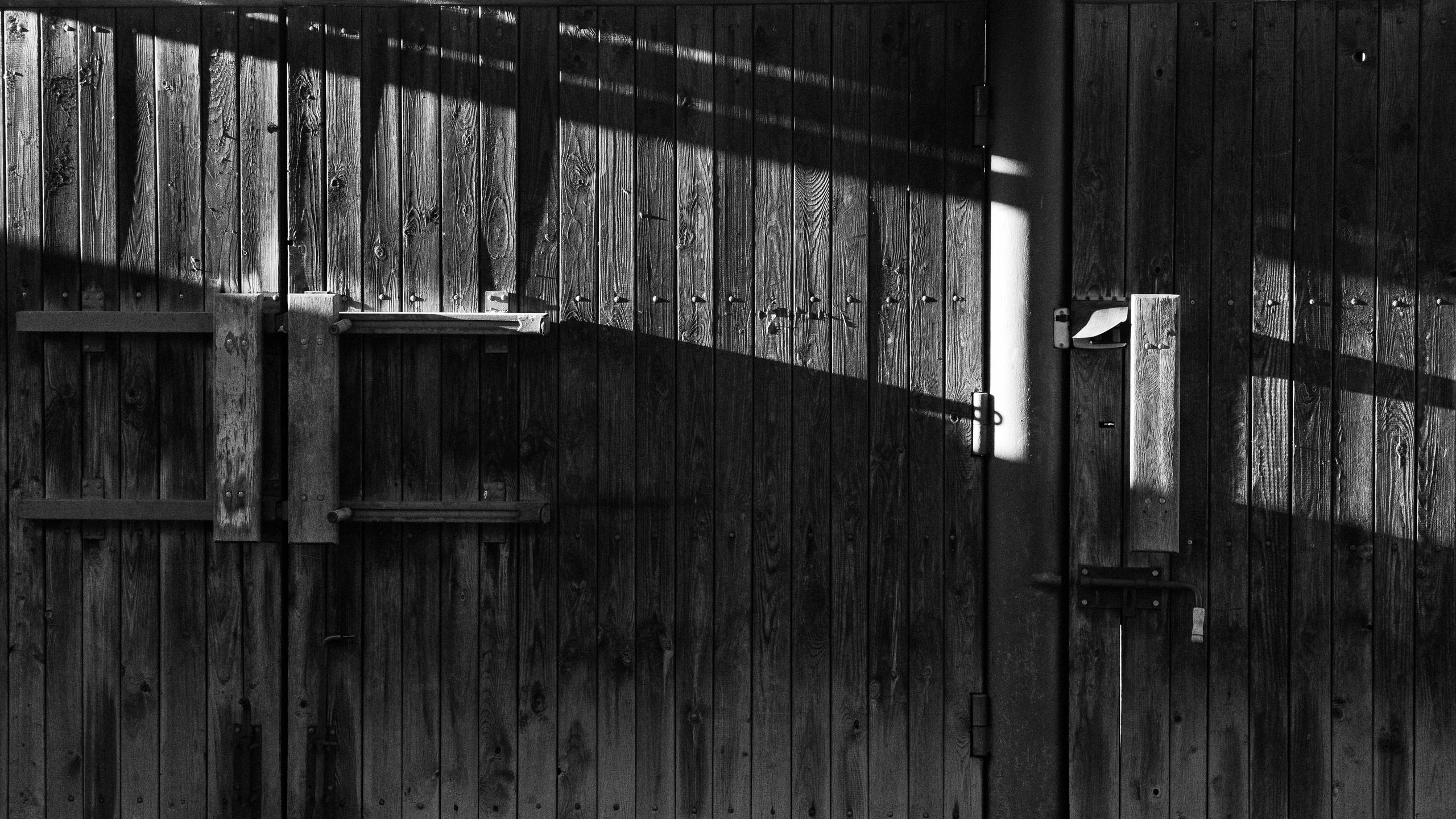 B&W. Фотограф Андрей Спрогис. Портретный и семейный фотограф в Москве Андрей Спрогис