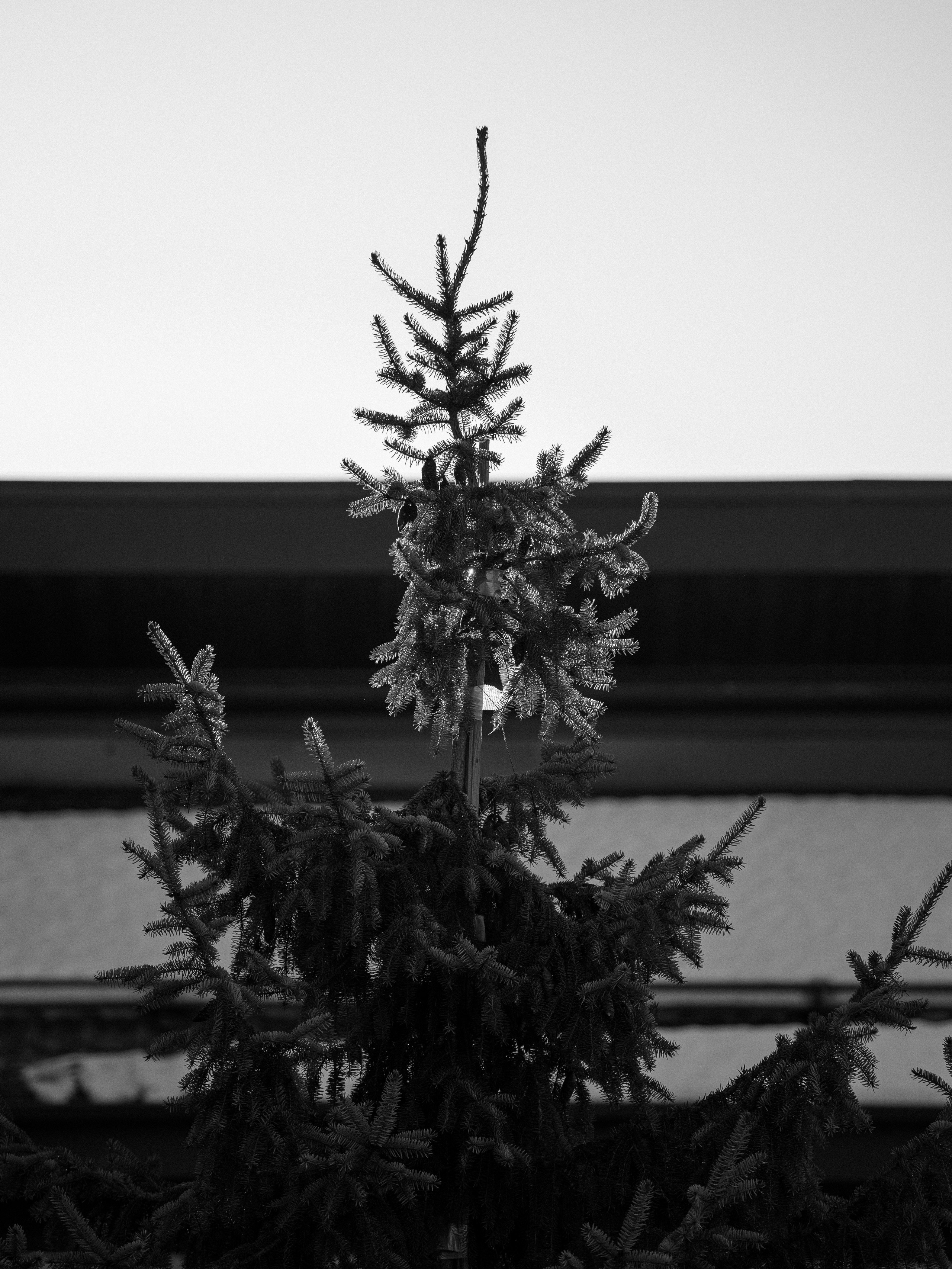 B&W. Фотограф Андрей Спрогис. Портретный и семейный фотограф в Москве Андрей Спрогис