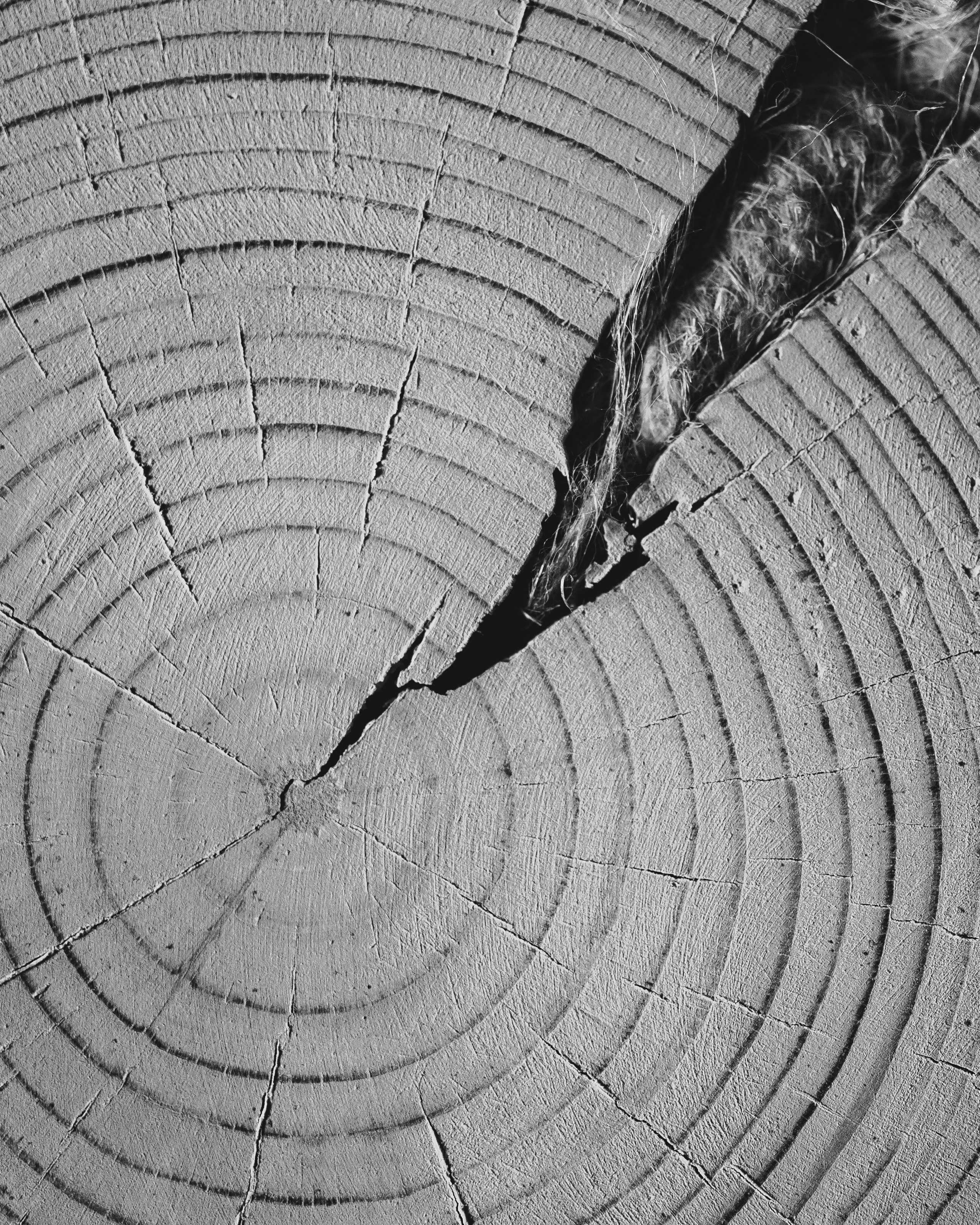 Серия B&W. Фотограф Андрей Спрогис, съемка портретов, семейная фотосъемка, фотосъемка беременных в Москве. https://asprogis.ru