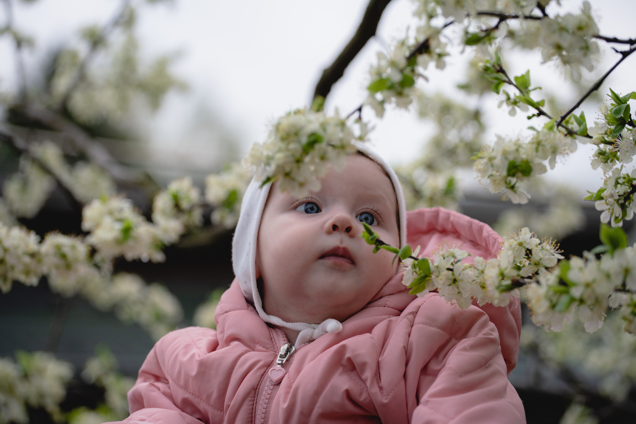 Проект София. Фотограф Андрей Спрогис, съемка портретов, семейная фотосъемка, фотосъемка беременных в Москве. https://asprogis.ru