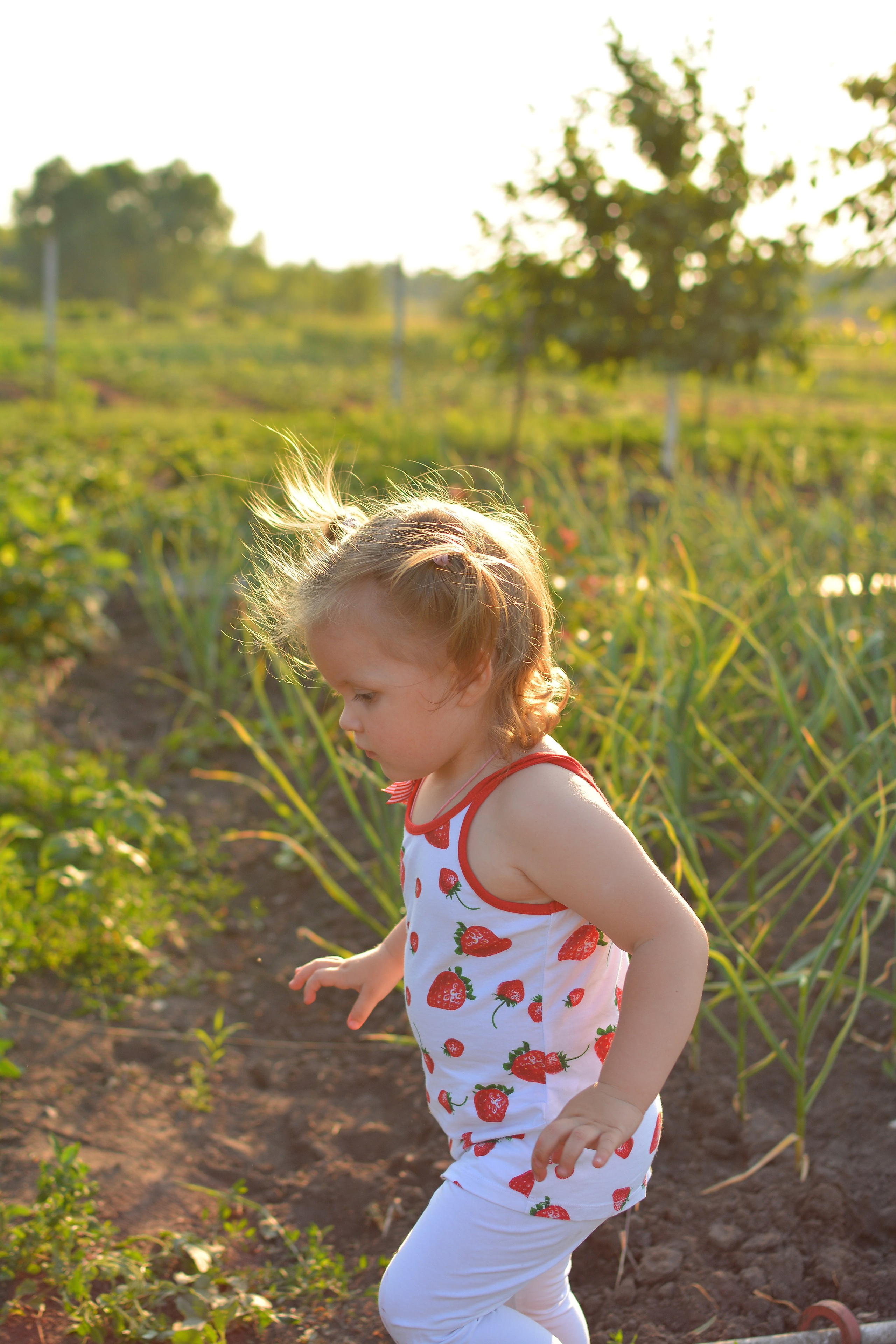 Полина с клубникой. Семейный и детский фотограф в городе Грязи Олеся Огурцова