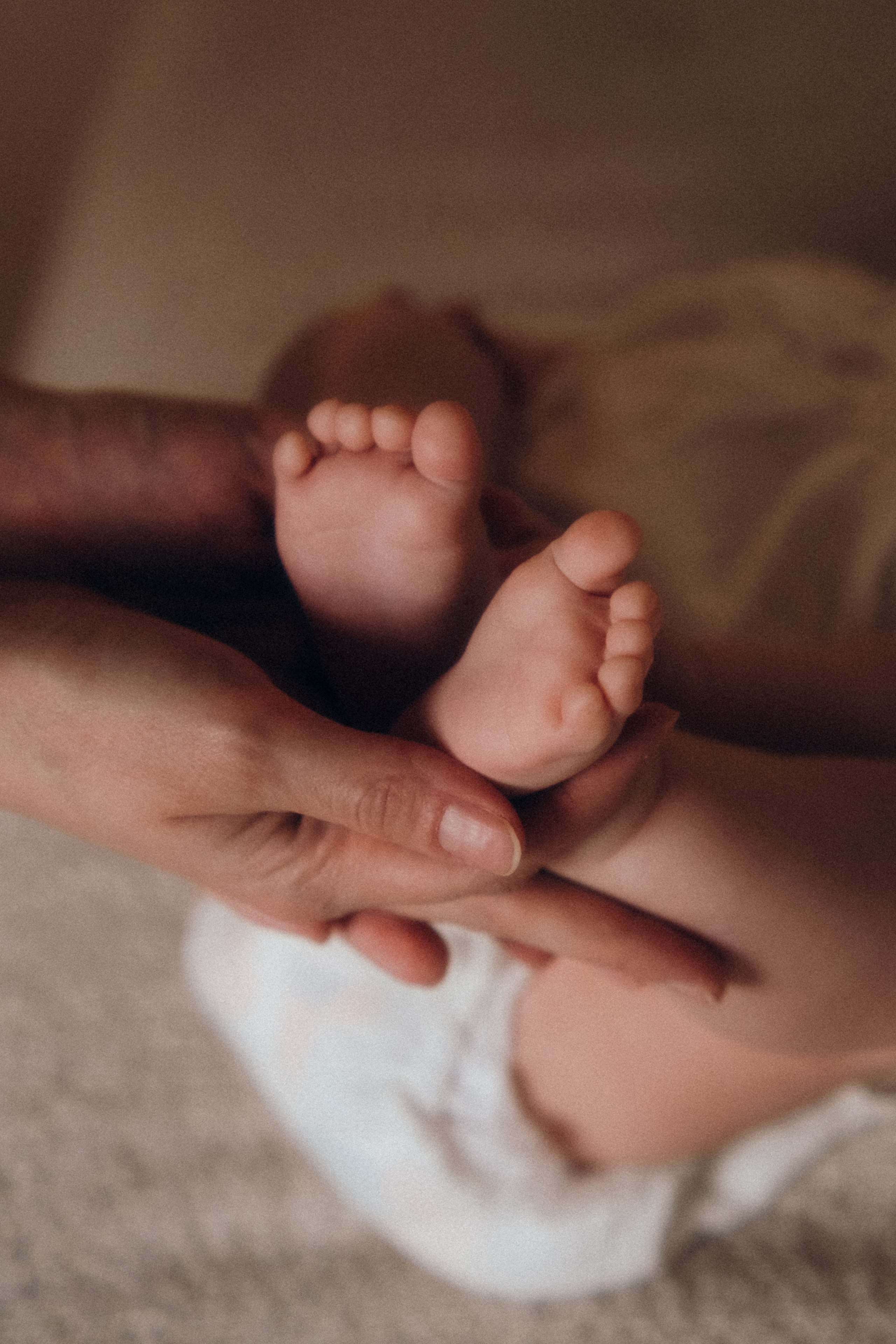 Студия Saint.P.Studio (особняк на Выборгской). Фотограф в Санкт-Петербурге Кристина Брянская