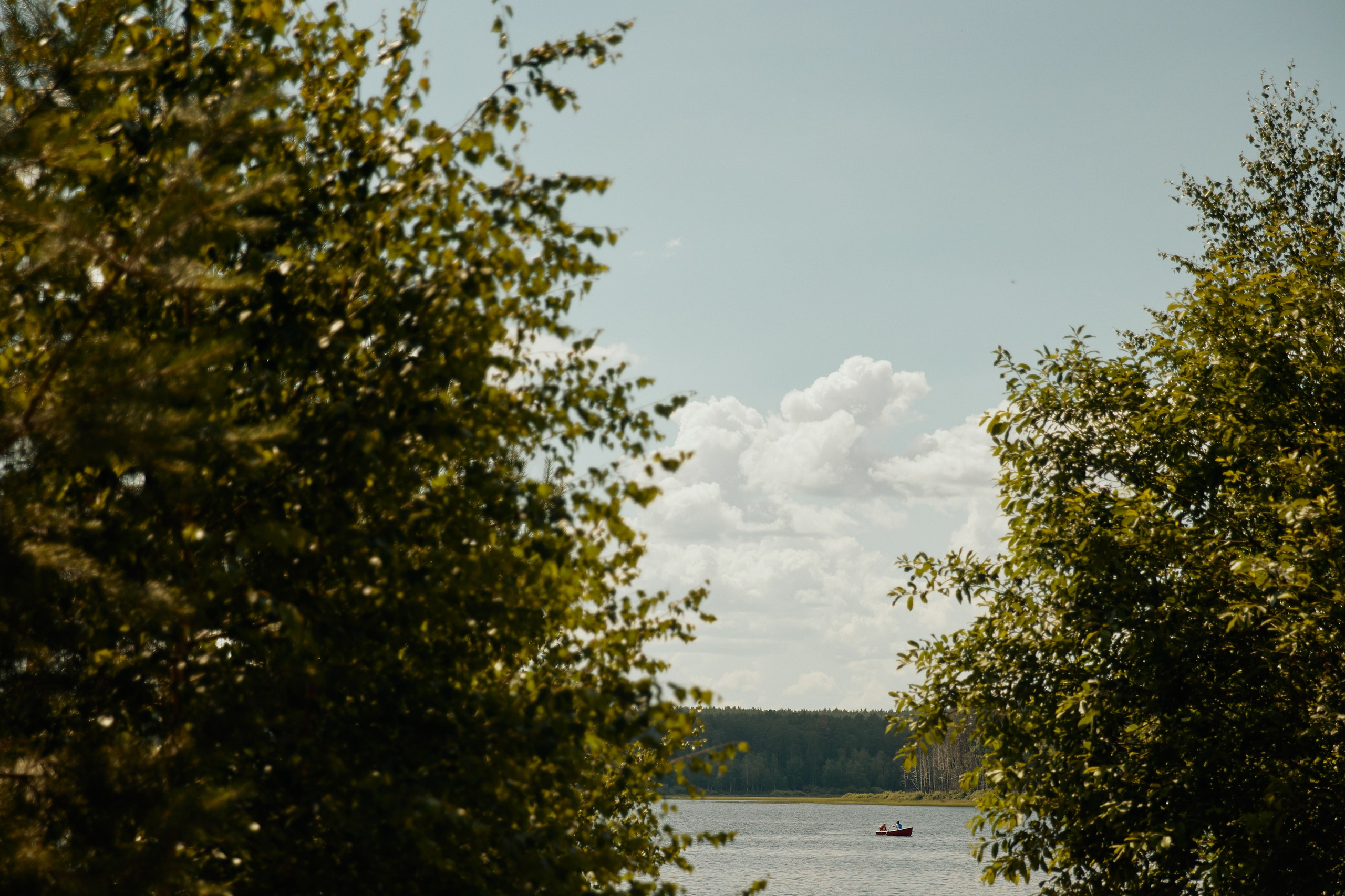 BG. Дмитрий Мазуркевич: Профессиональный Репортажный Фотограф