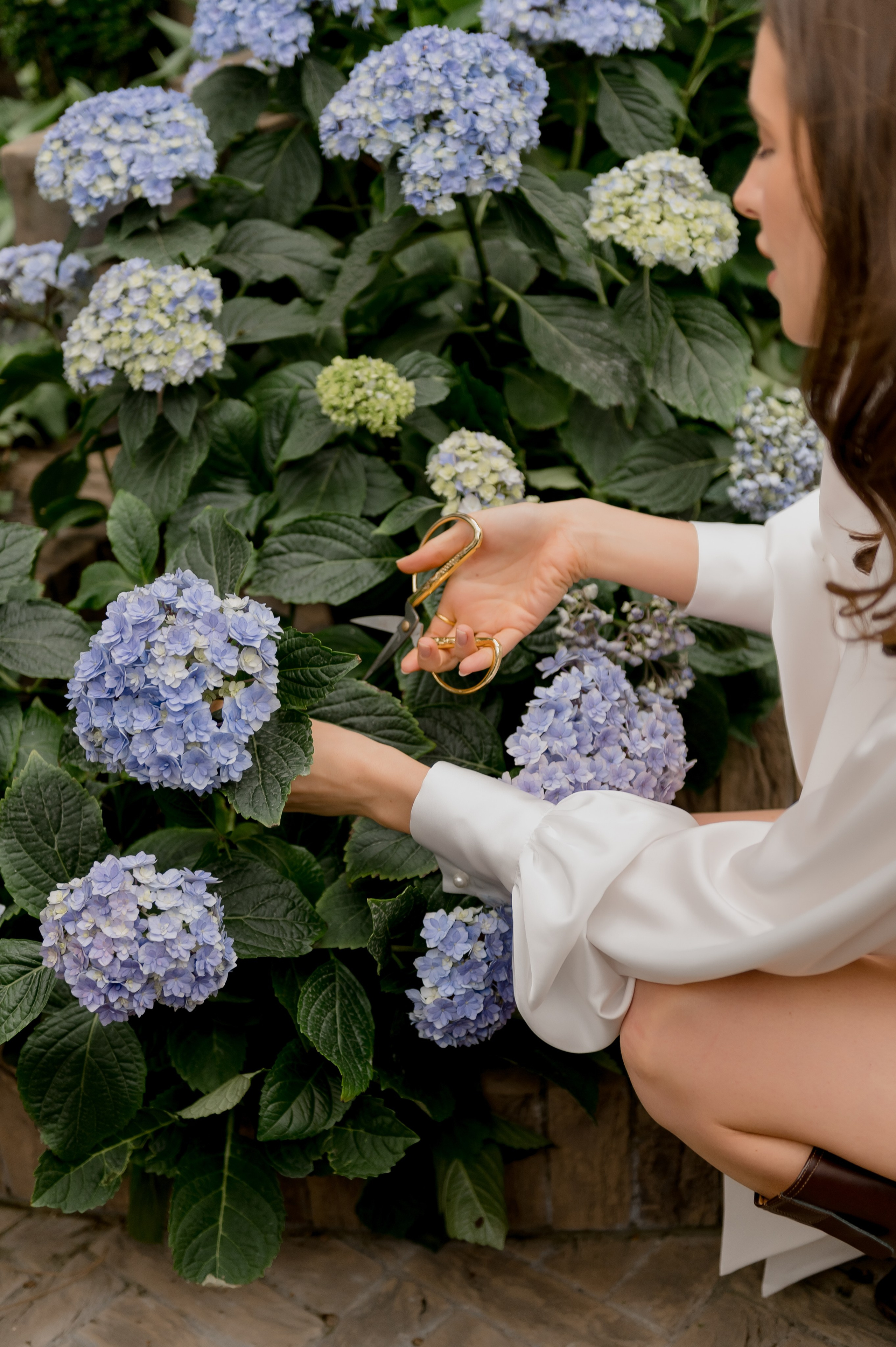 Виктор и Елена. Главная