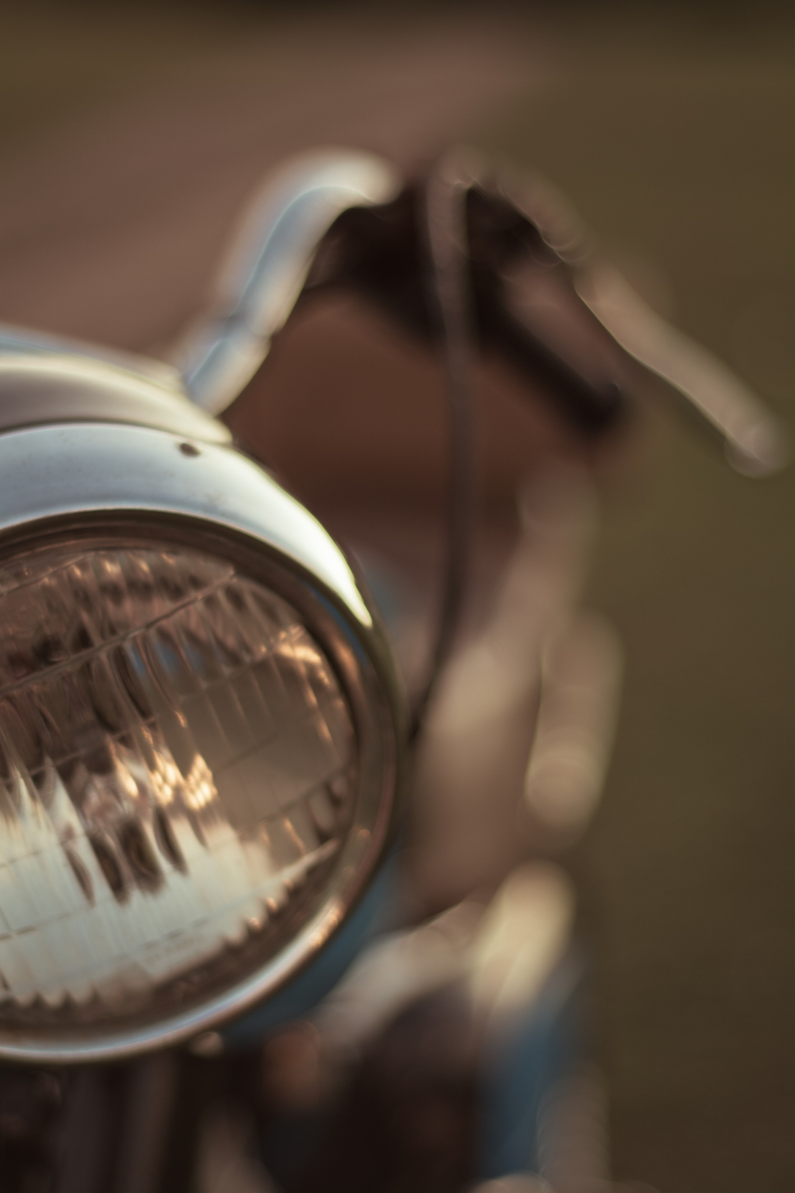 Семейная. Фотограф Бойко Антонина