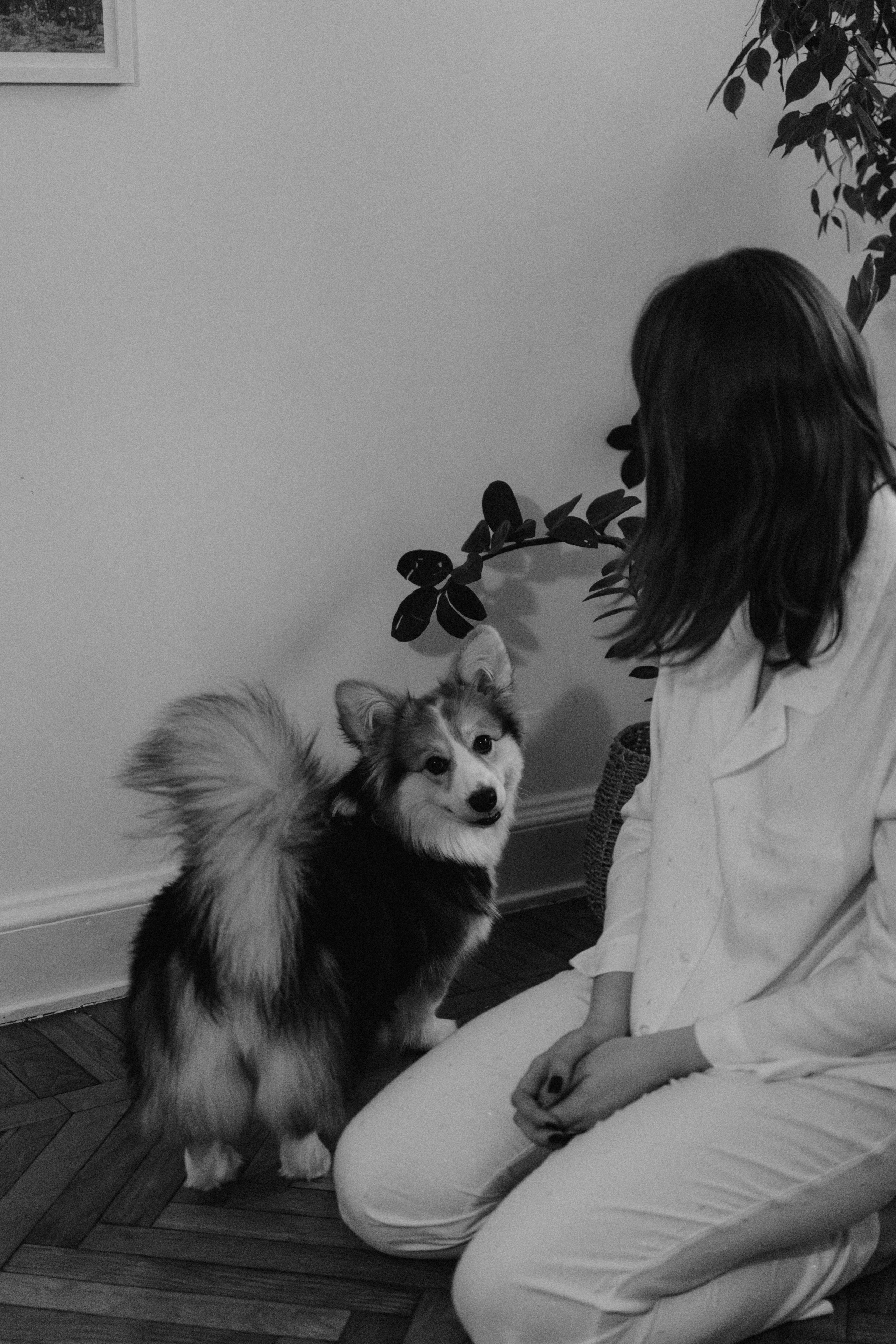 Мишель и Влада. Фотораф — анималист Мария Шистка