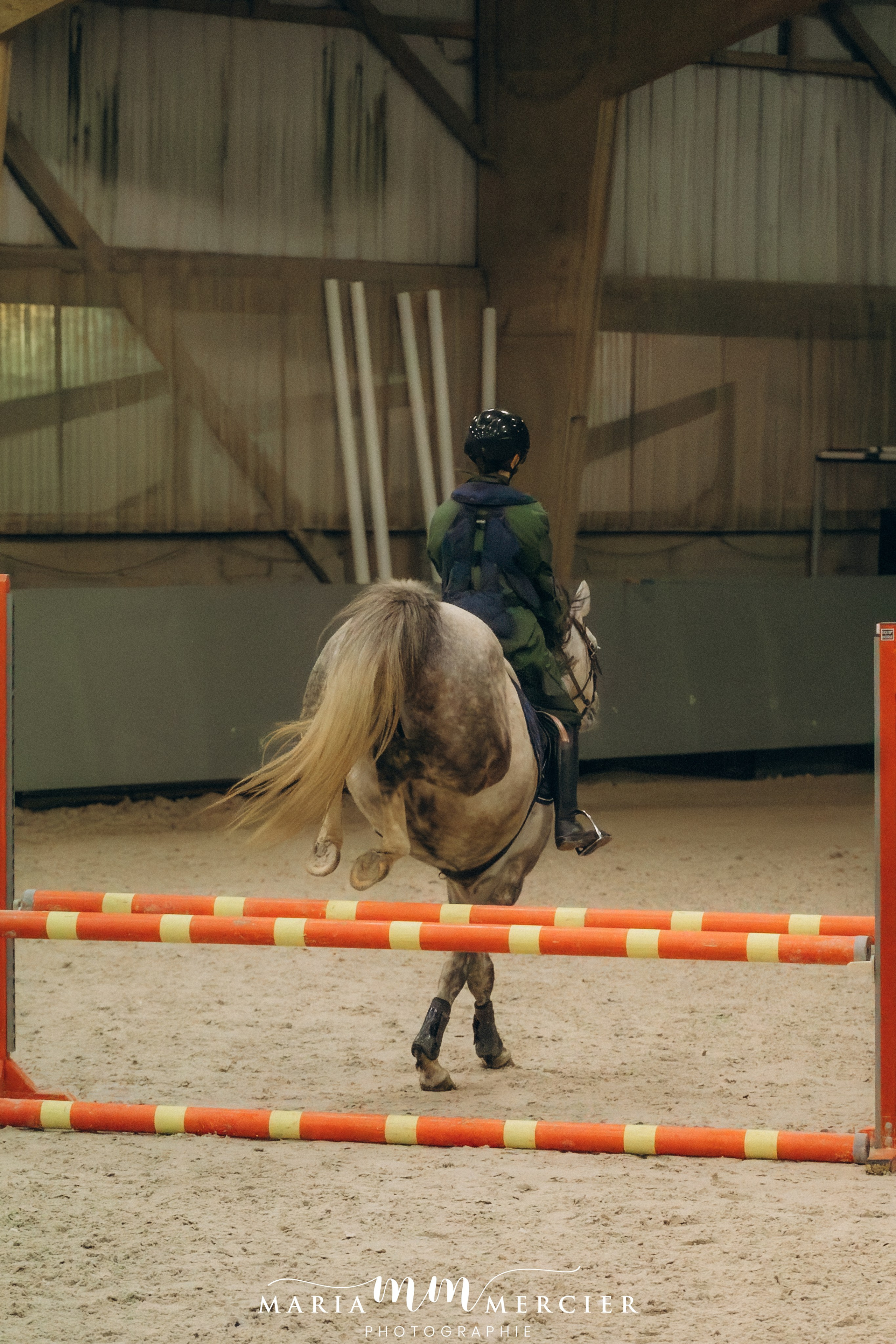 Evènements. Photographe des familles et enfants à Nantes et alentours