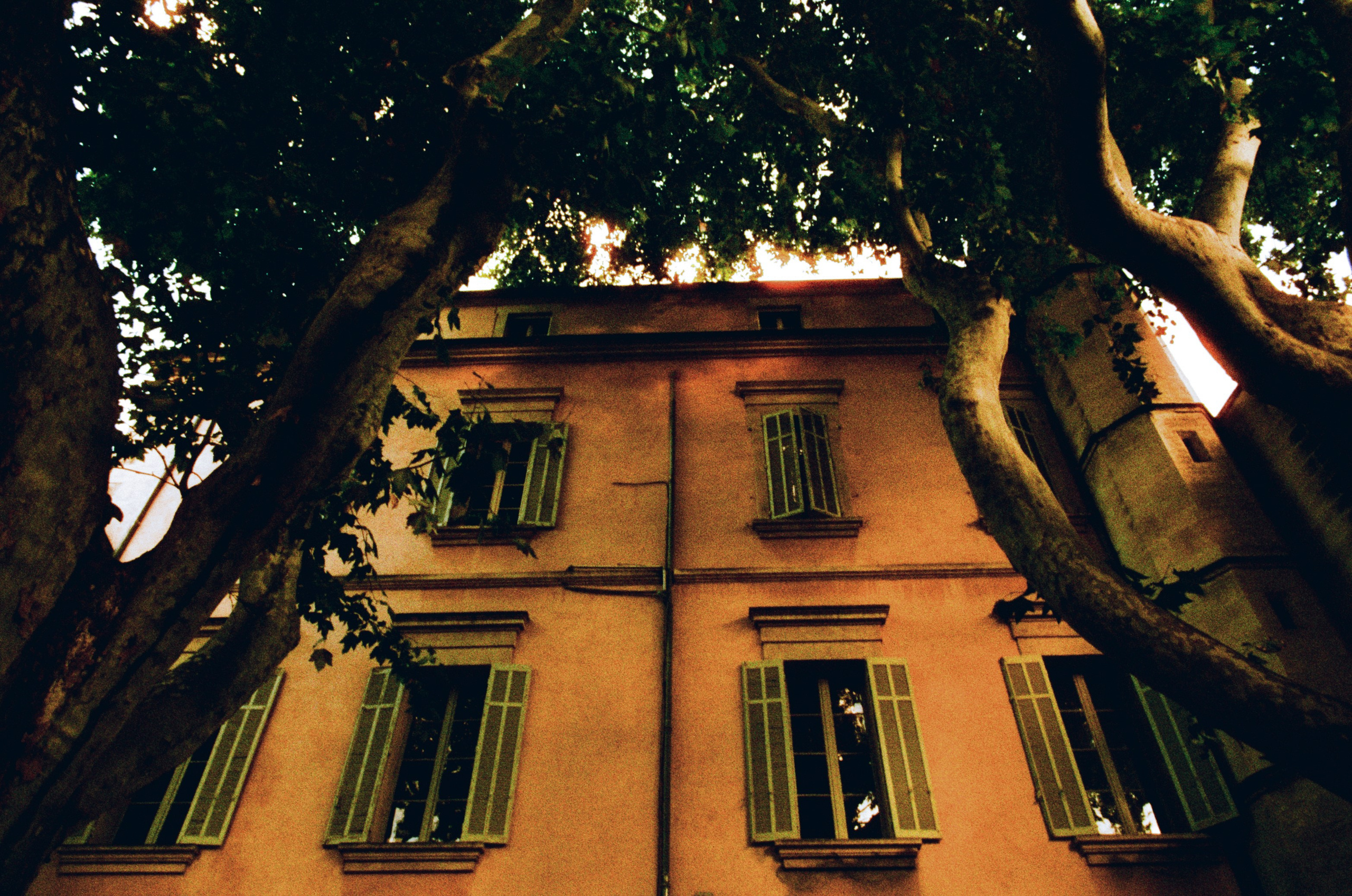 The contract // france, avignon II. EVER EXPOSED