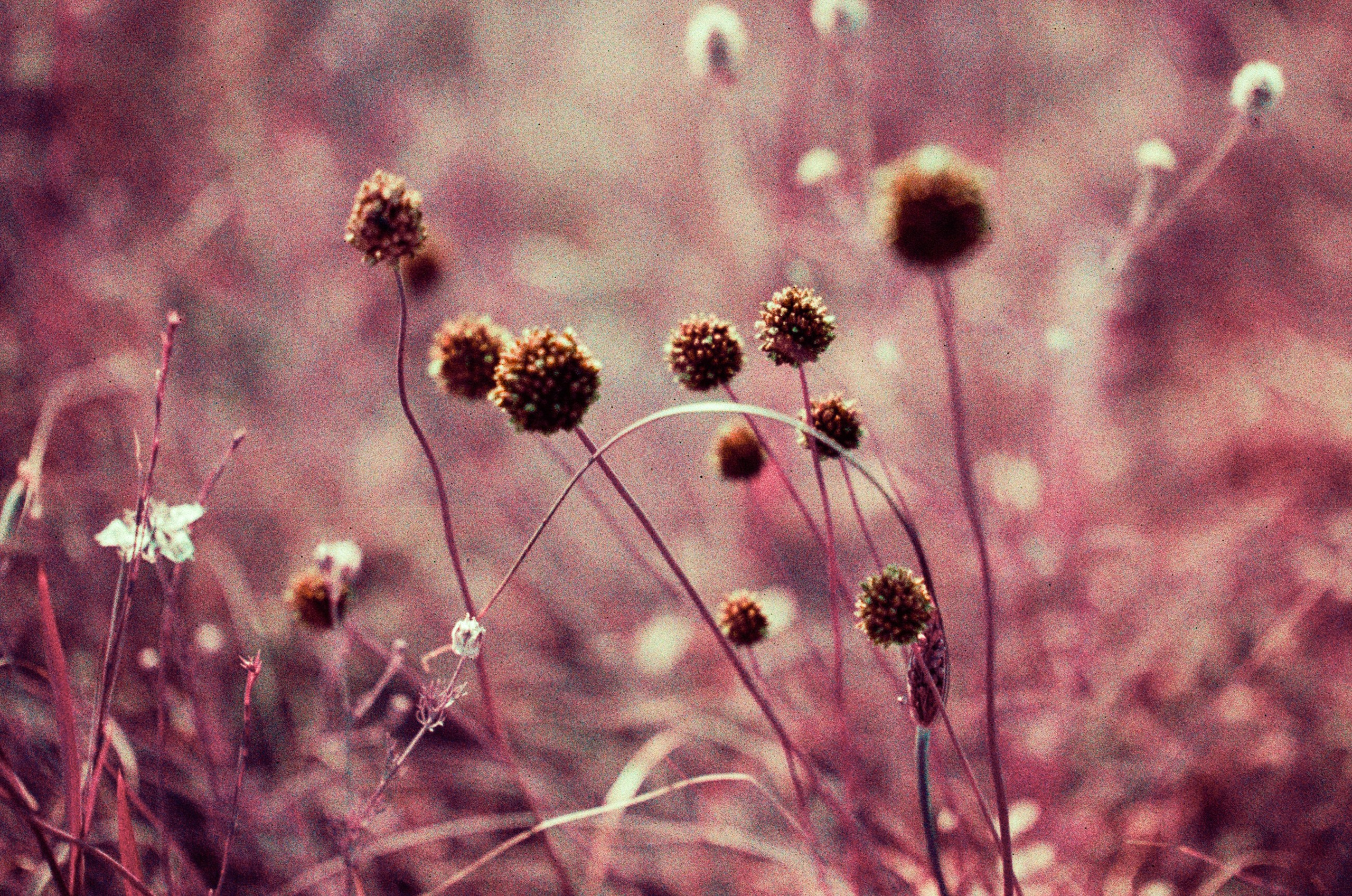 Dig it // ukraine, crimea X. EVER EXPOSED