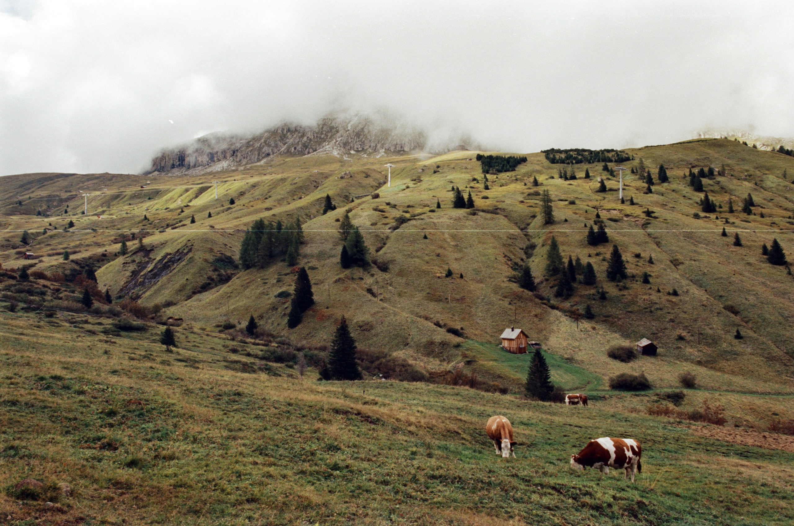 Are you coming // italy, dolomites. EVER EXPOSED
