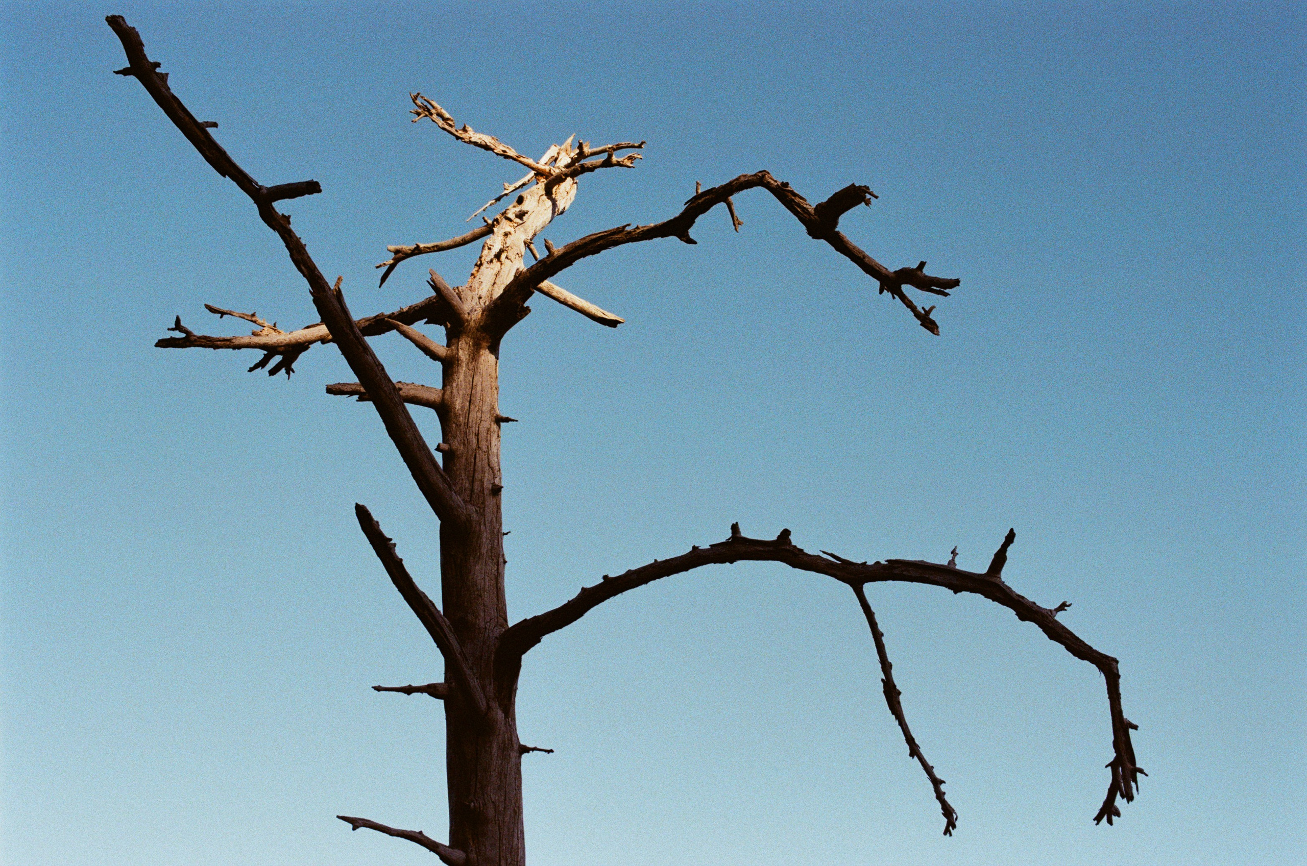 Silver strings // ukraine, crimea III. EVER EXPOSED