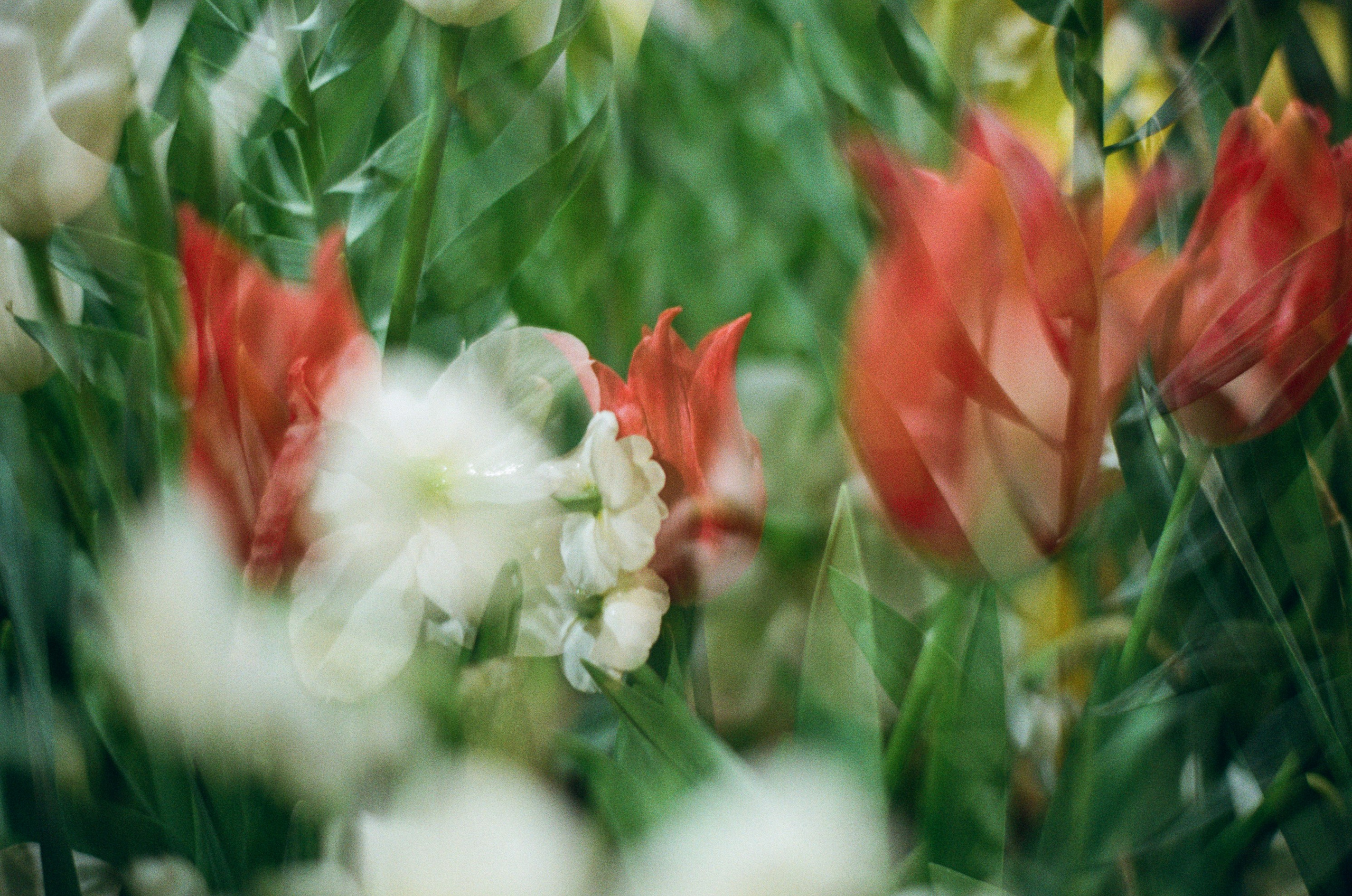 If i get high V. EVER EXPOSED