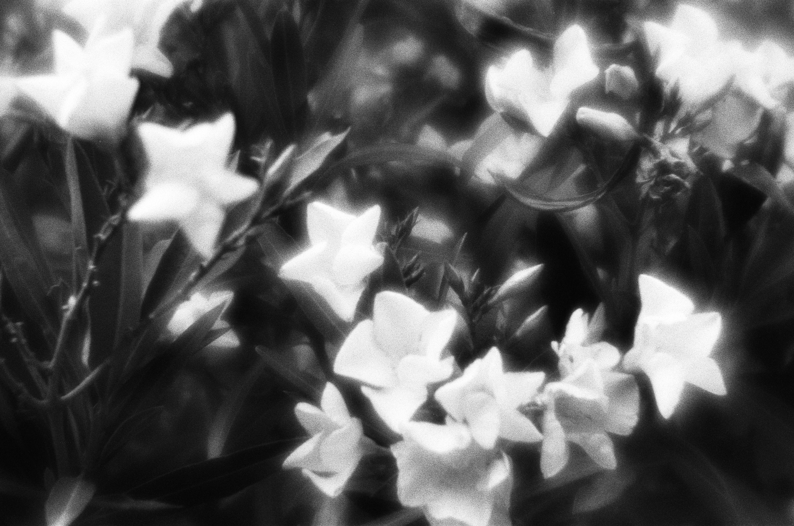 Oblomki chuvstv // ukraine, crimea VI. EVER EXPOSED