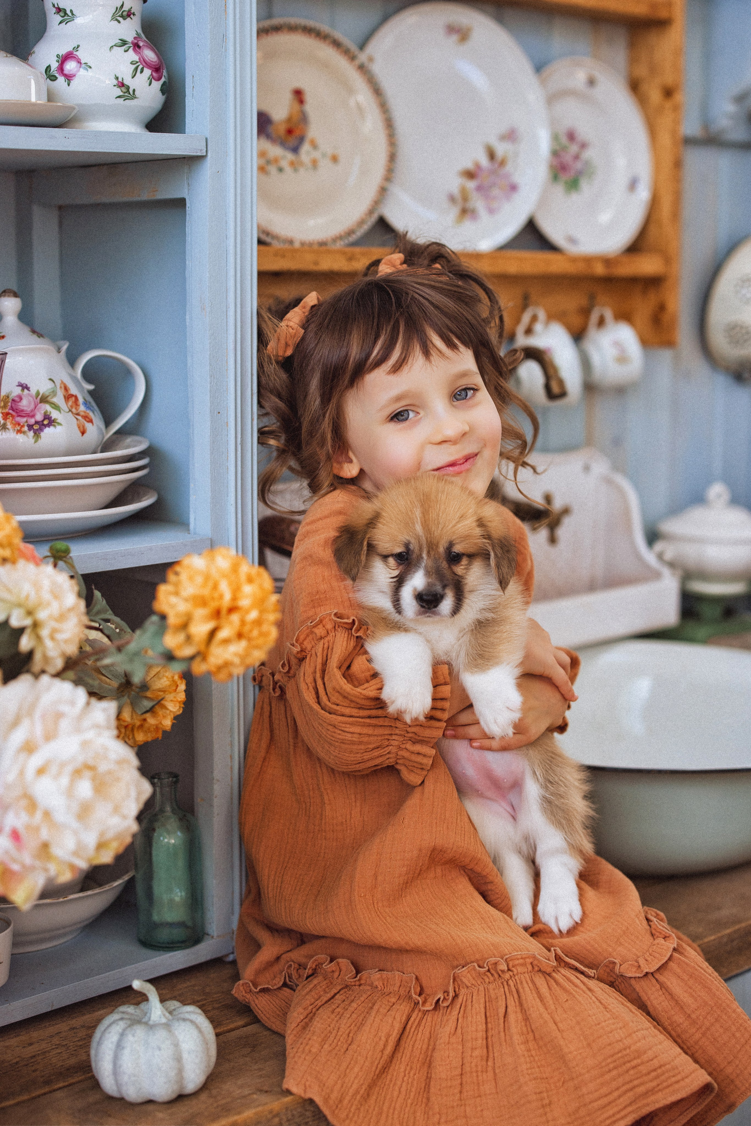 Фотосессия с щенками Корги, в фотостудии Ольги Сурухановой, город Краснодар. Семейный и детский фотограф в Краснодаре Анна Трашкова