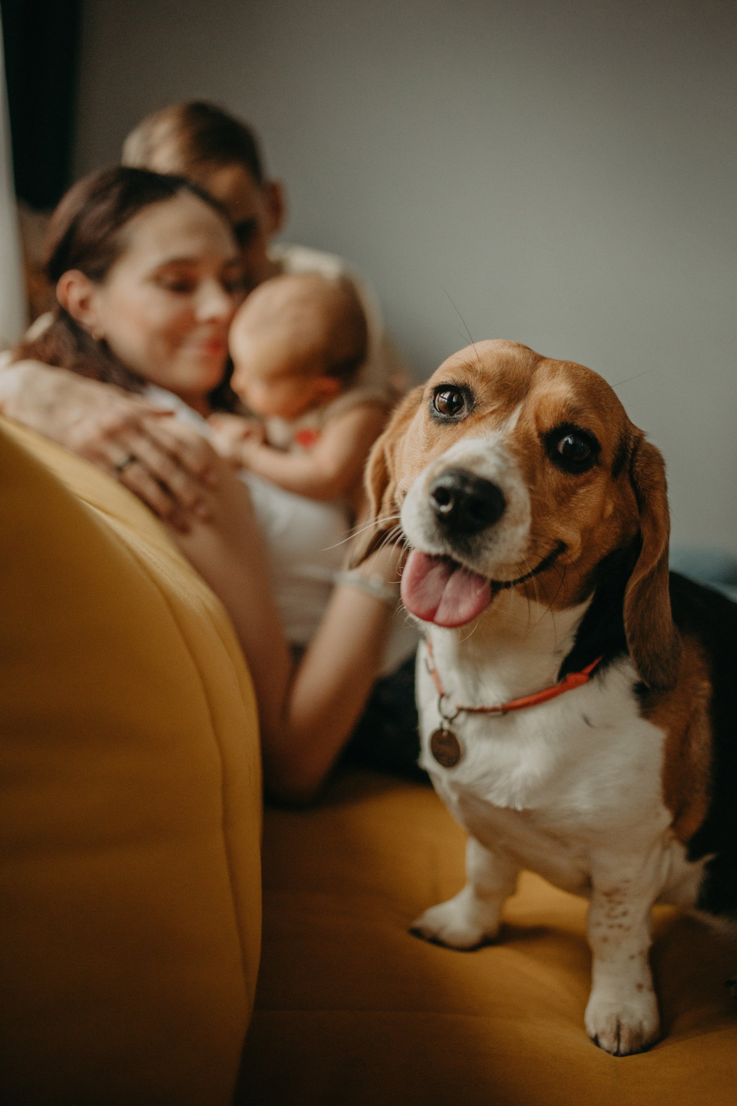 Домашнее счастье. Фотограф в Краснодаре Евгения Михаевич