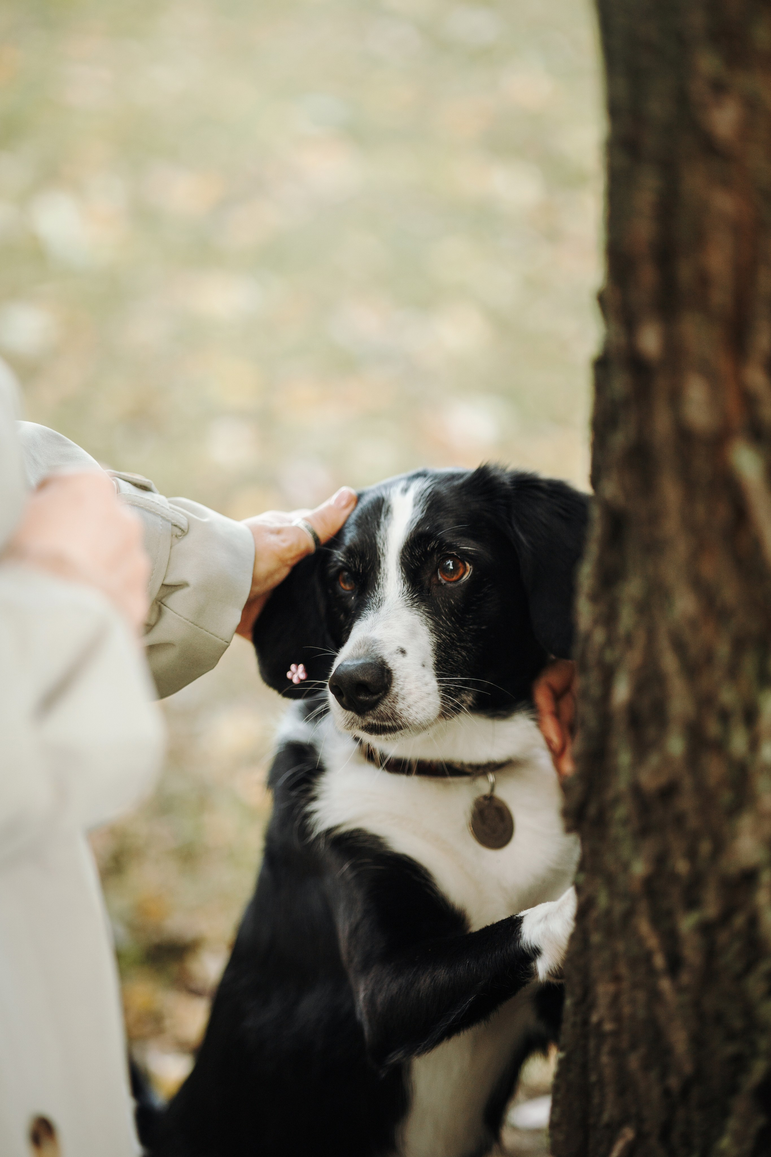 Мишель и ее семья. Фотограф — Анималист | Санкт-Петербург