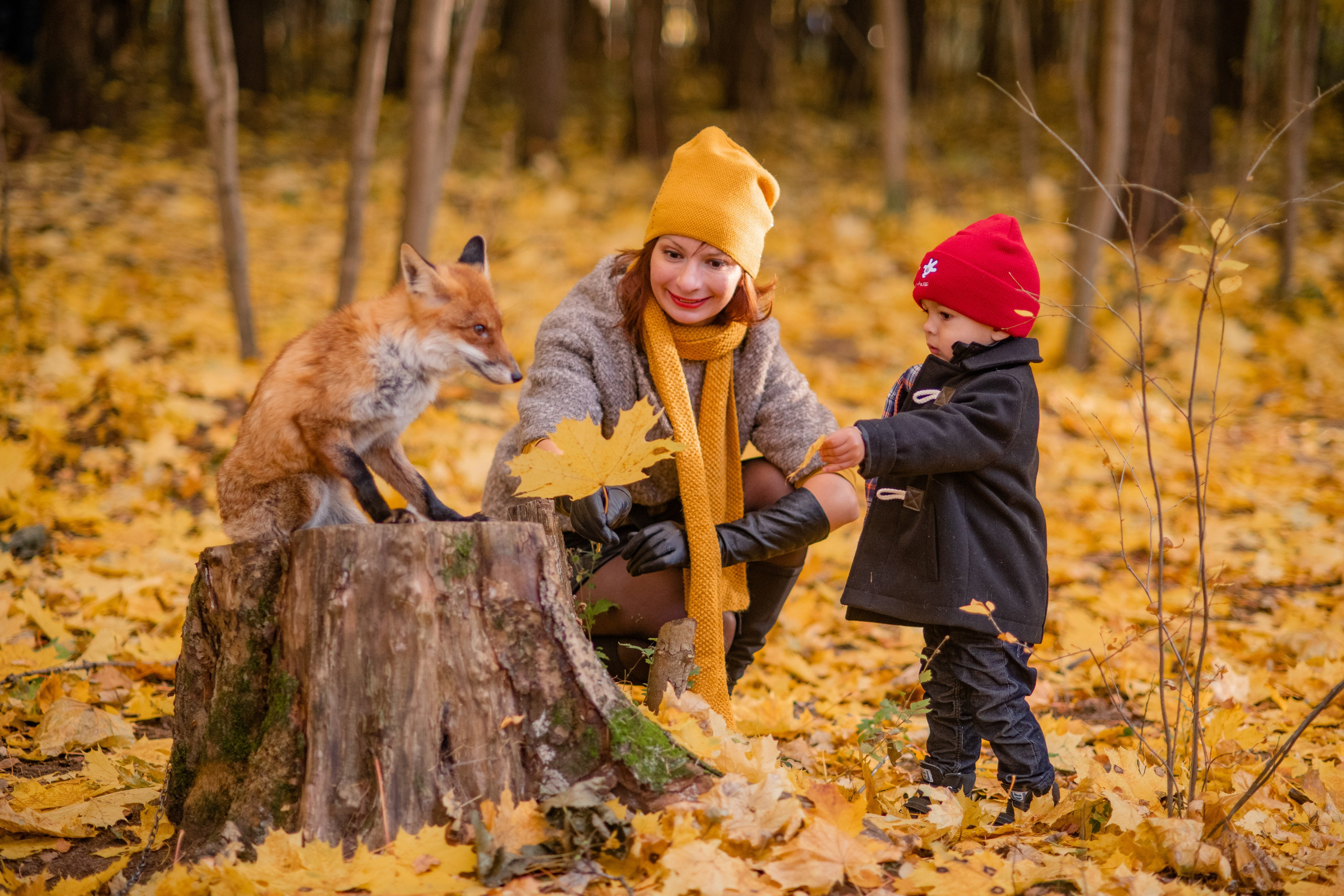 Семейная фотосессия. Меня зовут Павел Лонкин, я Фотограф из Москвы pavellonkinphoto.ru