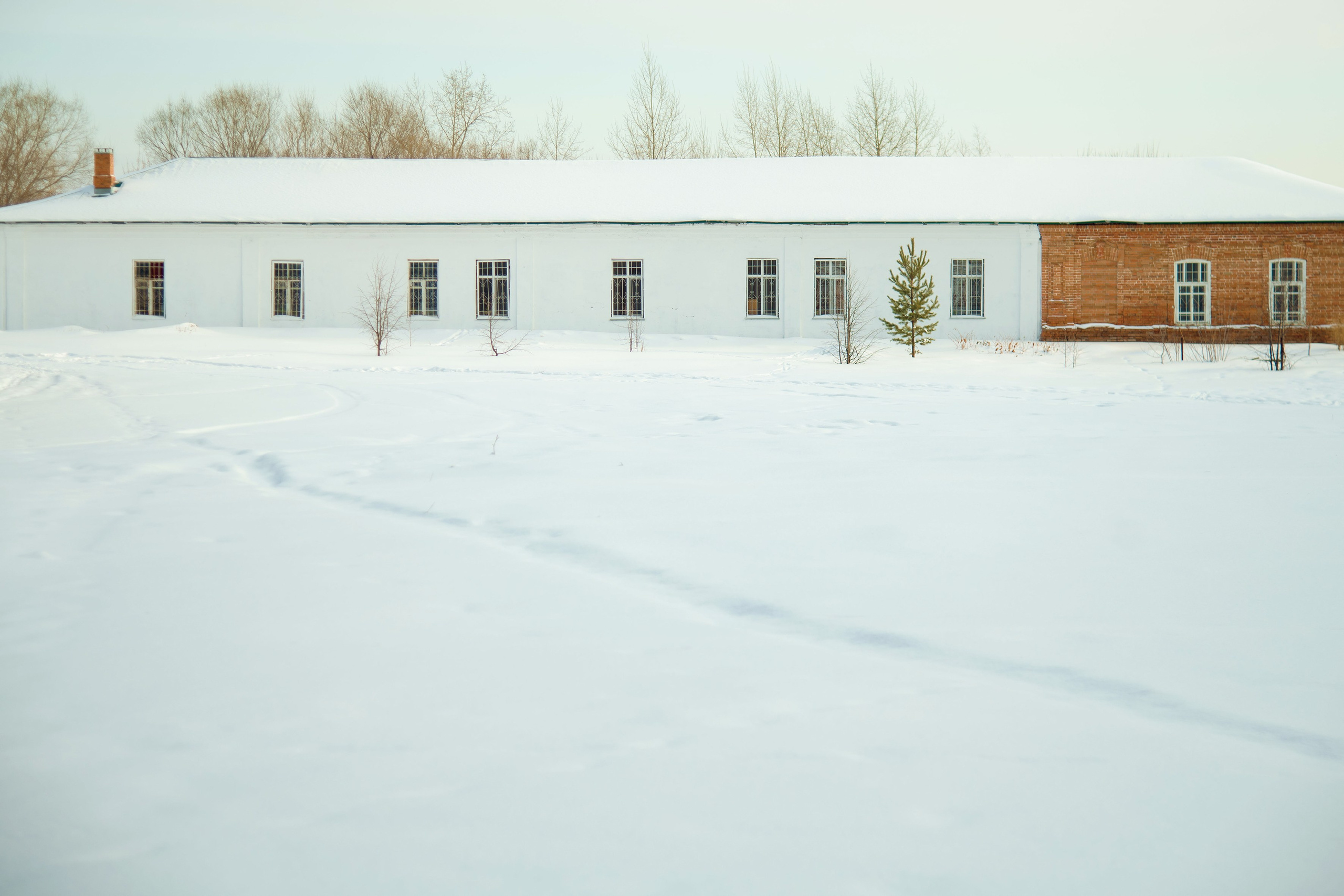 Природа. Александра Панина фотограф, портрет, семья, бизнес, Новосибирск