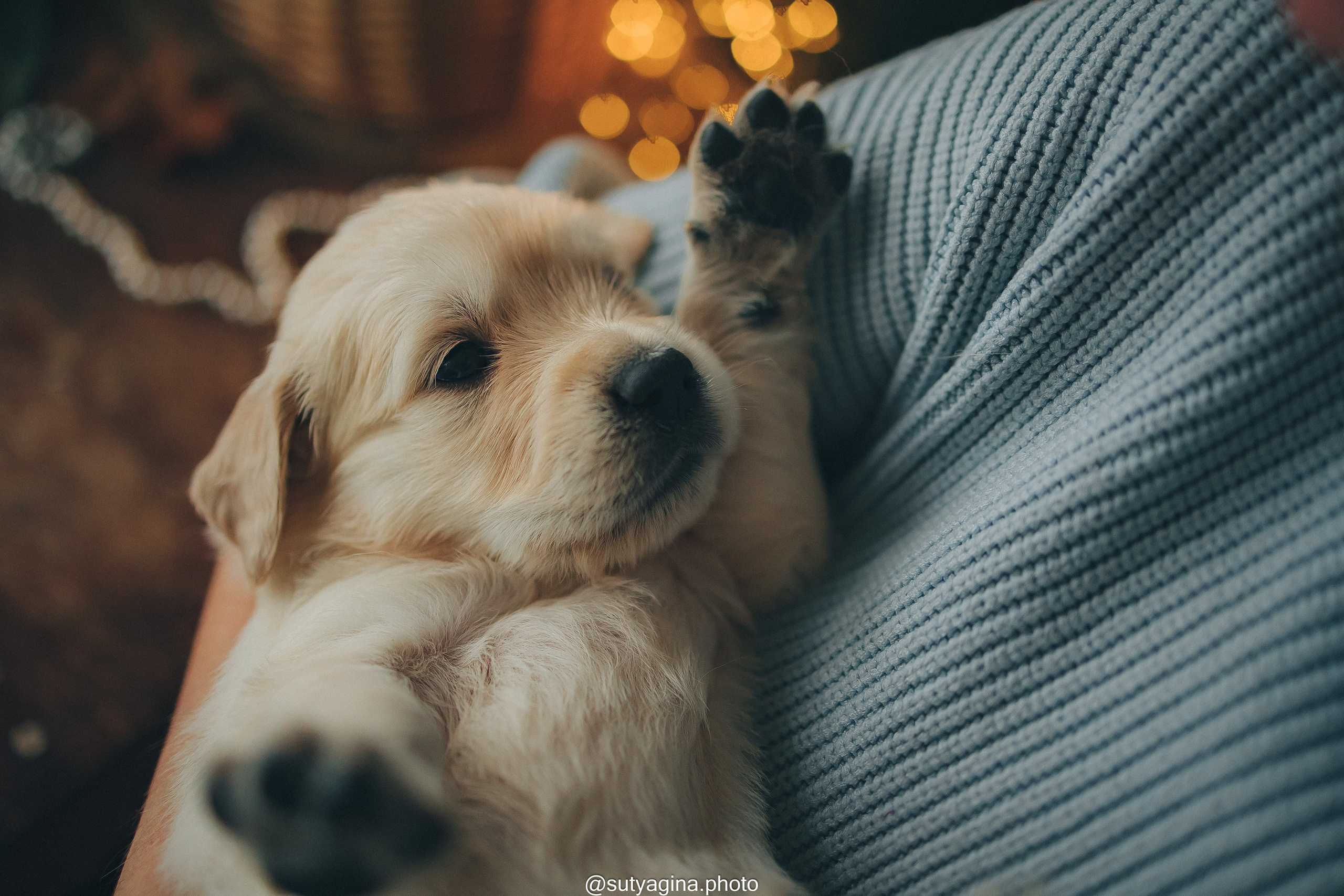Фиолетовая лента. Свадебный и женский фотограф