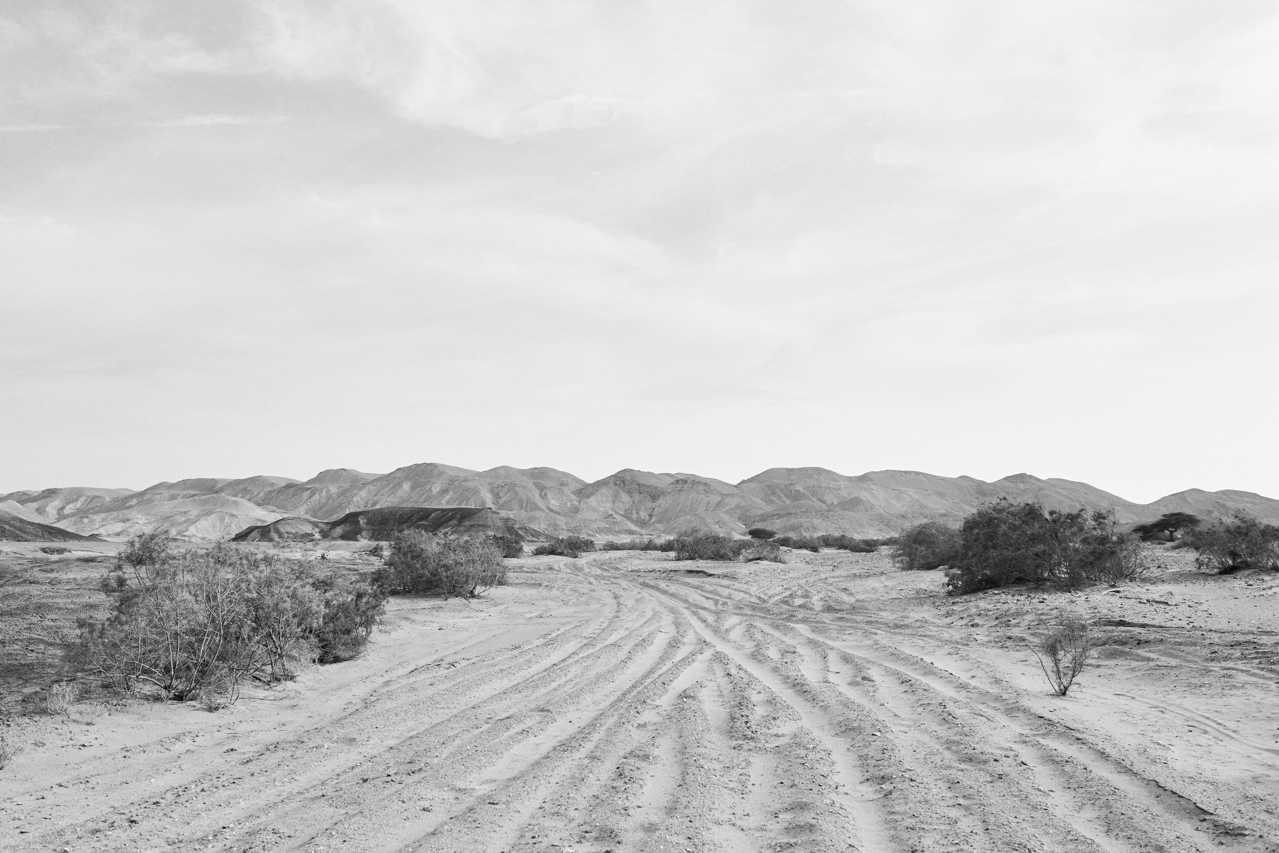 B&W. Jorgis — фотограф в Хургаде / обучение фотографии