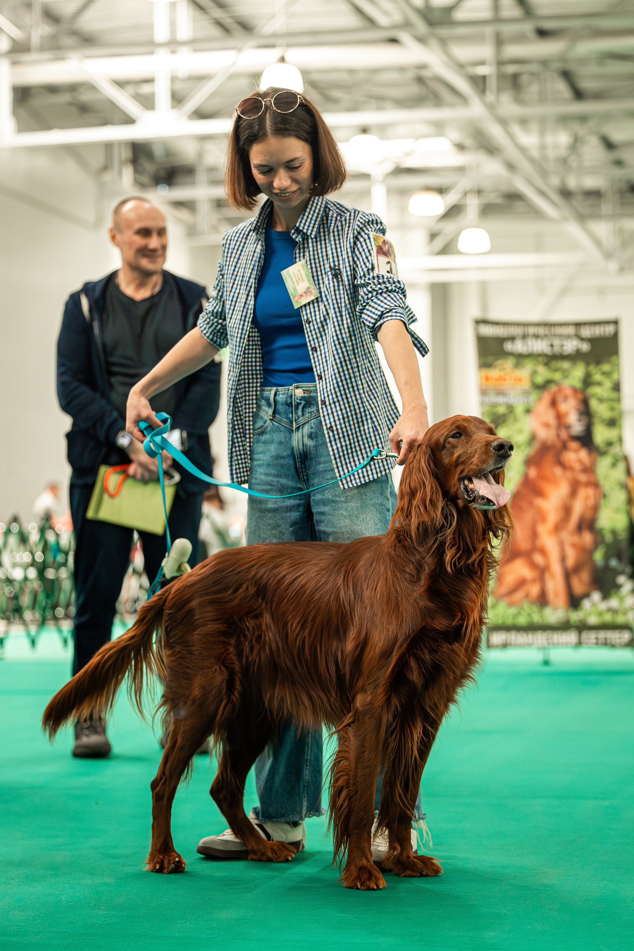 Выставка сеттеров 19.05.24